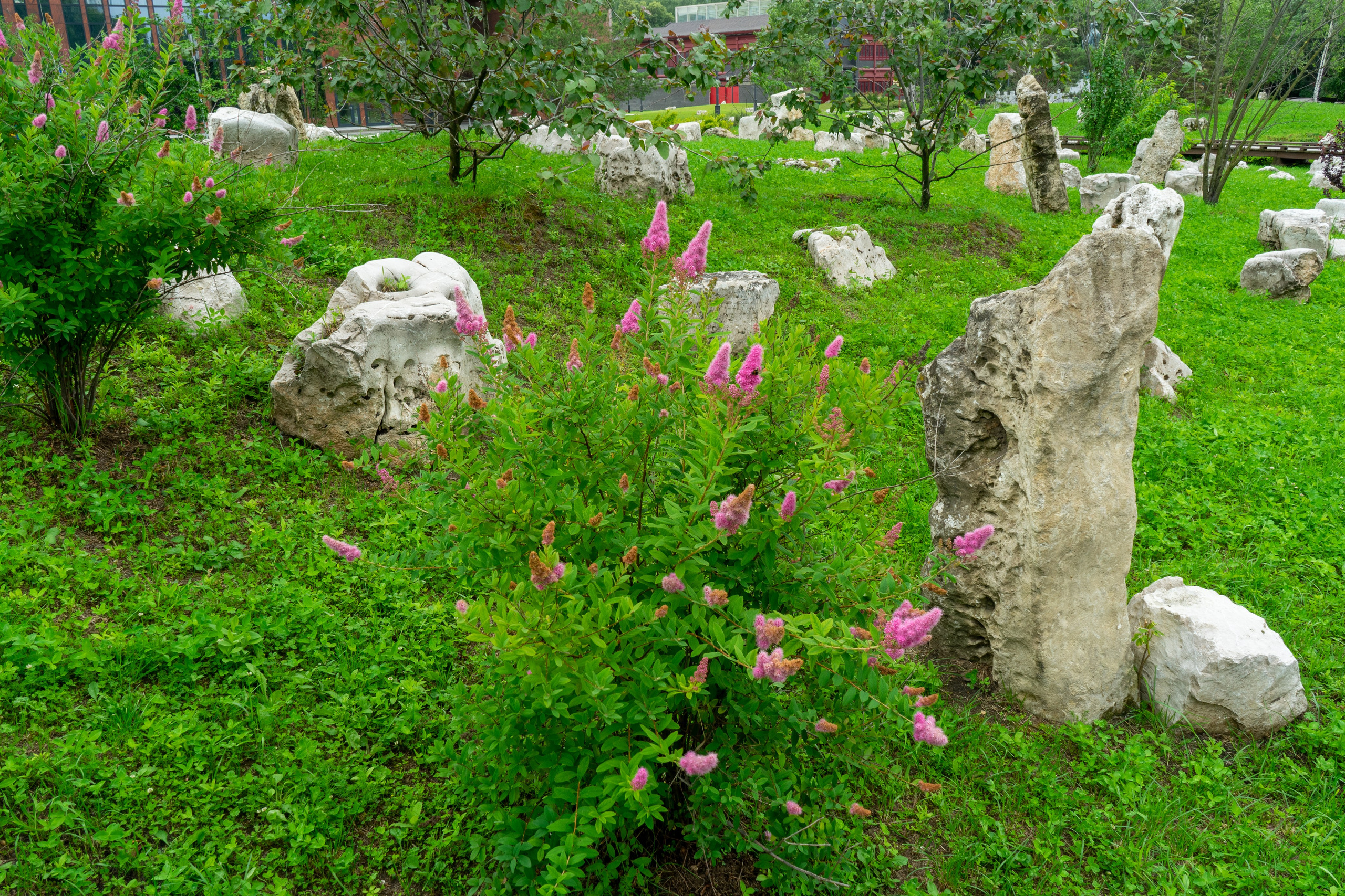 Виды парка Хуамин Москва. Авторские фотографии Чугунова Николая