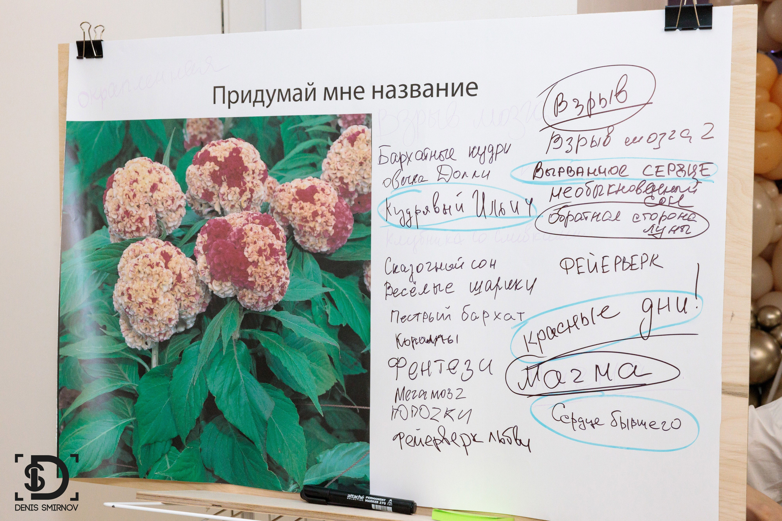 Корпоративные. Фотограф Денис Смирнов