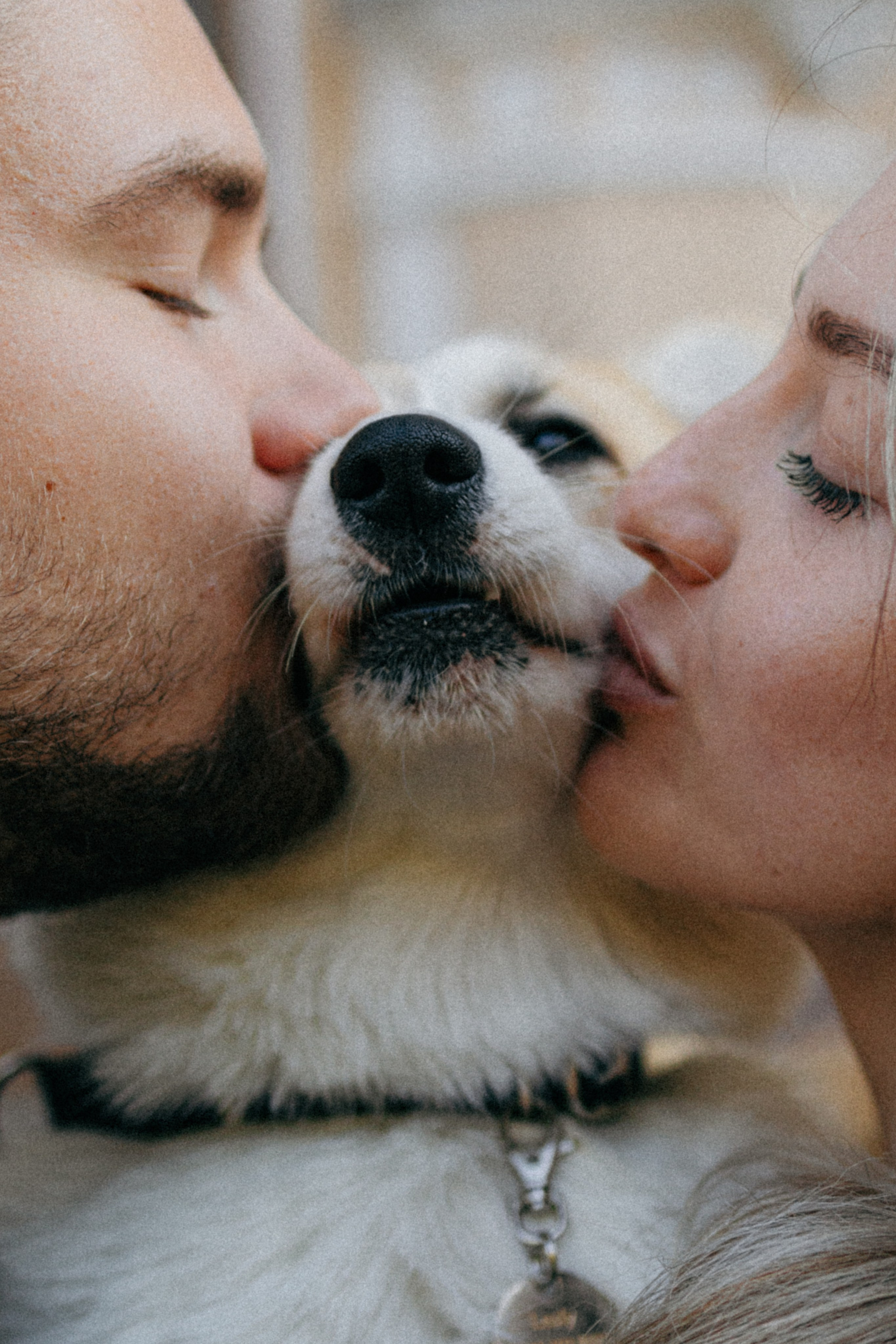 Даша, Рома и Лесли. Фотораф — анималист Мария Шистка