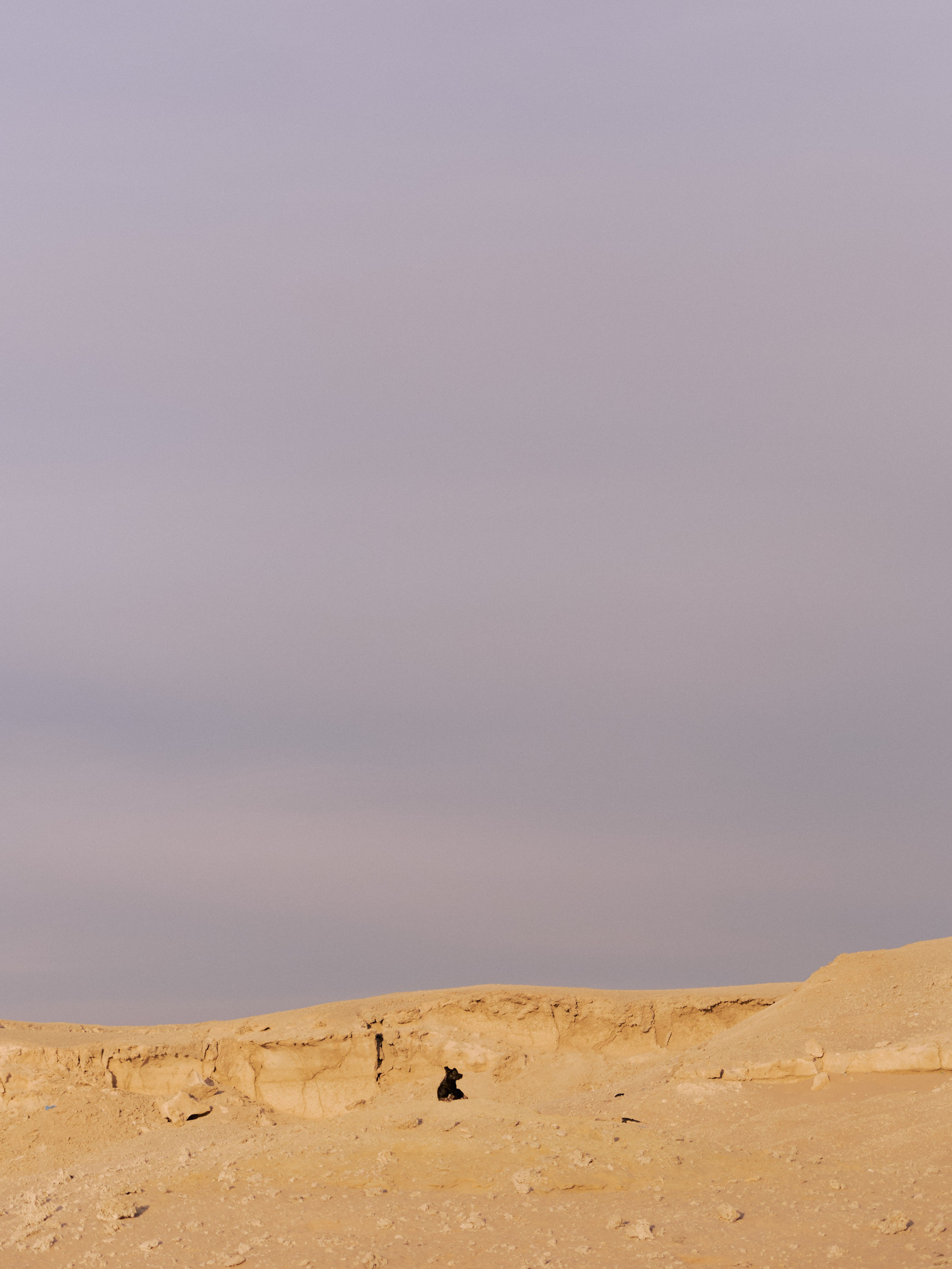 Природа. Jorgis Talè — photographer, kind person, teacher of arts and other mag