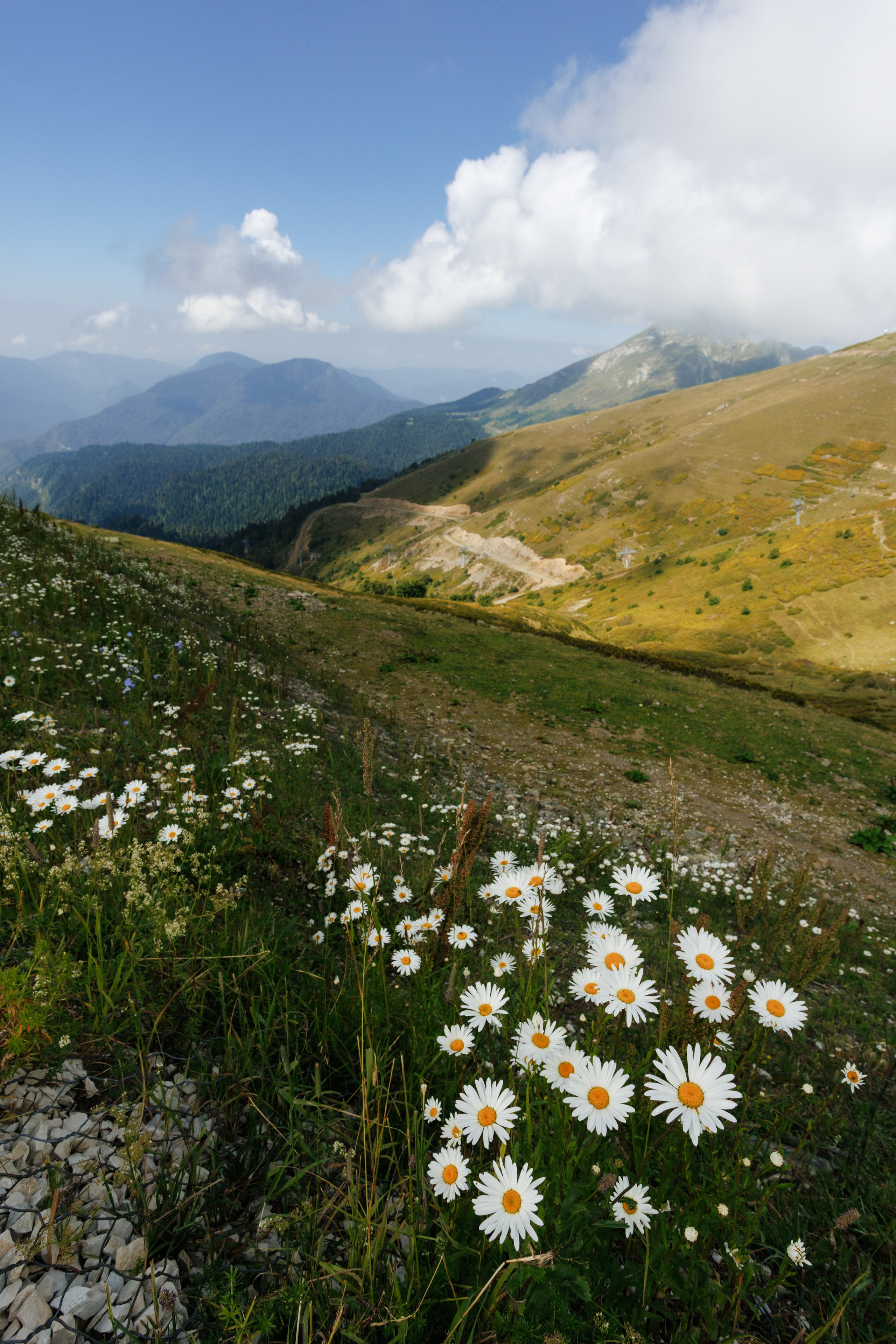 Wild trail — Rosa. Портретный и концертный фотограф в Москве Тугарин Александр
