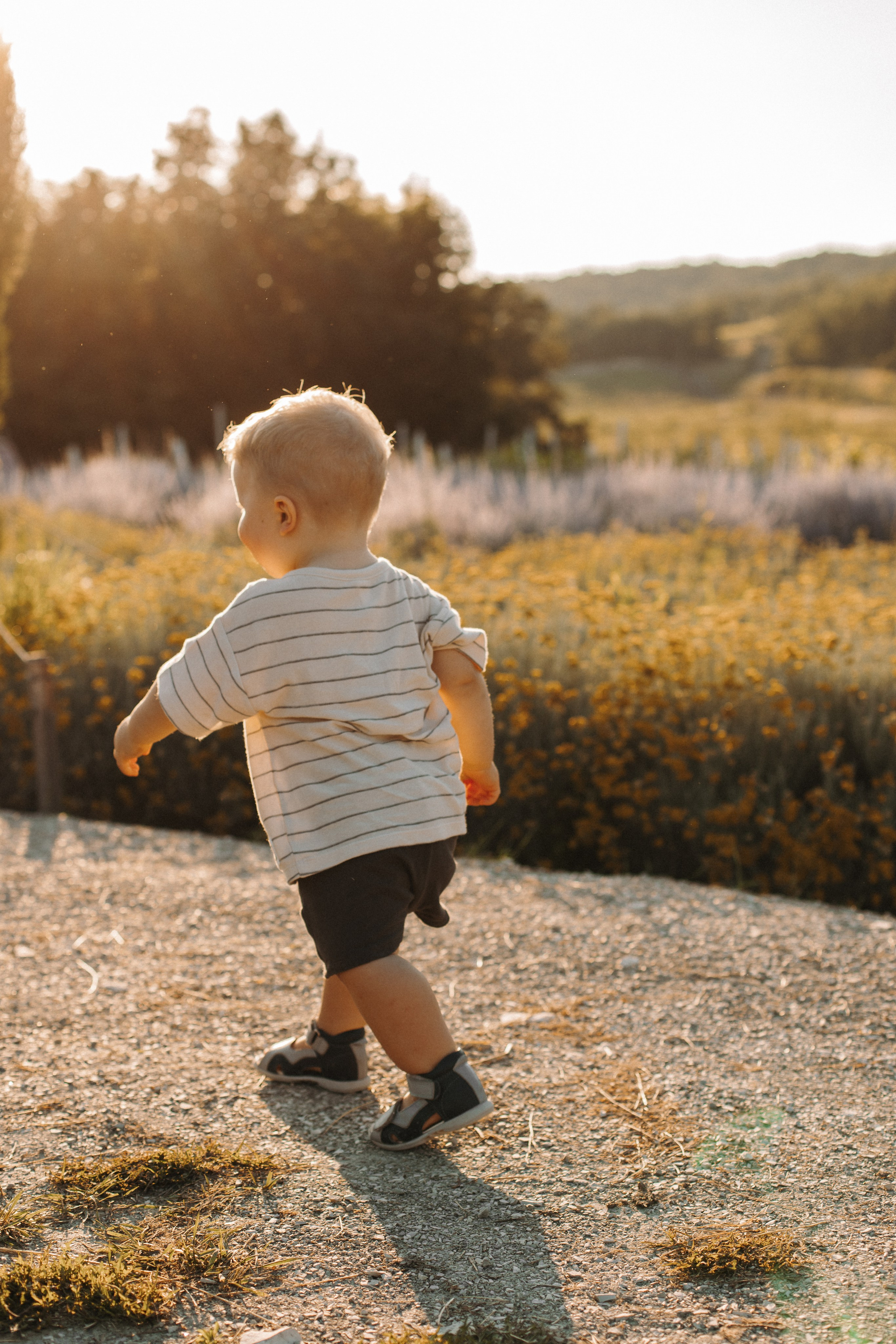 Maison Des Plantes. Фотограф на Юге России