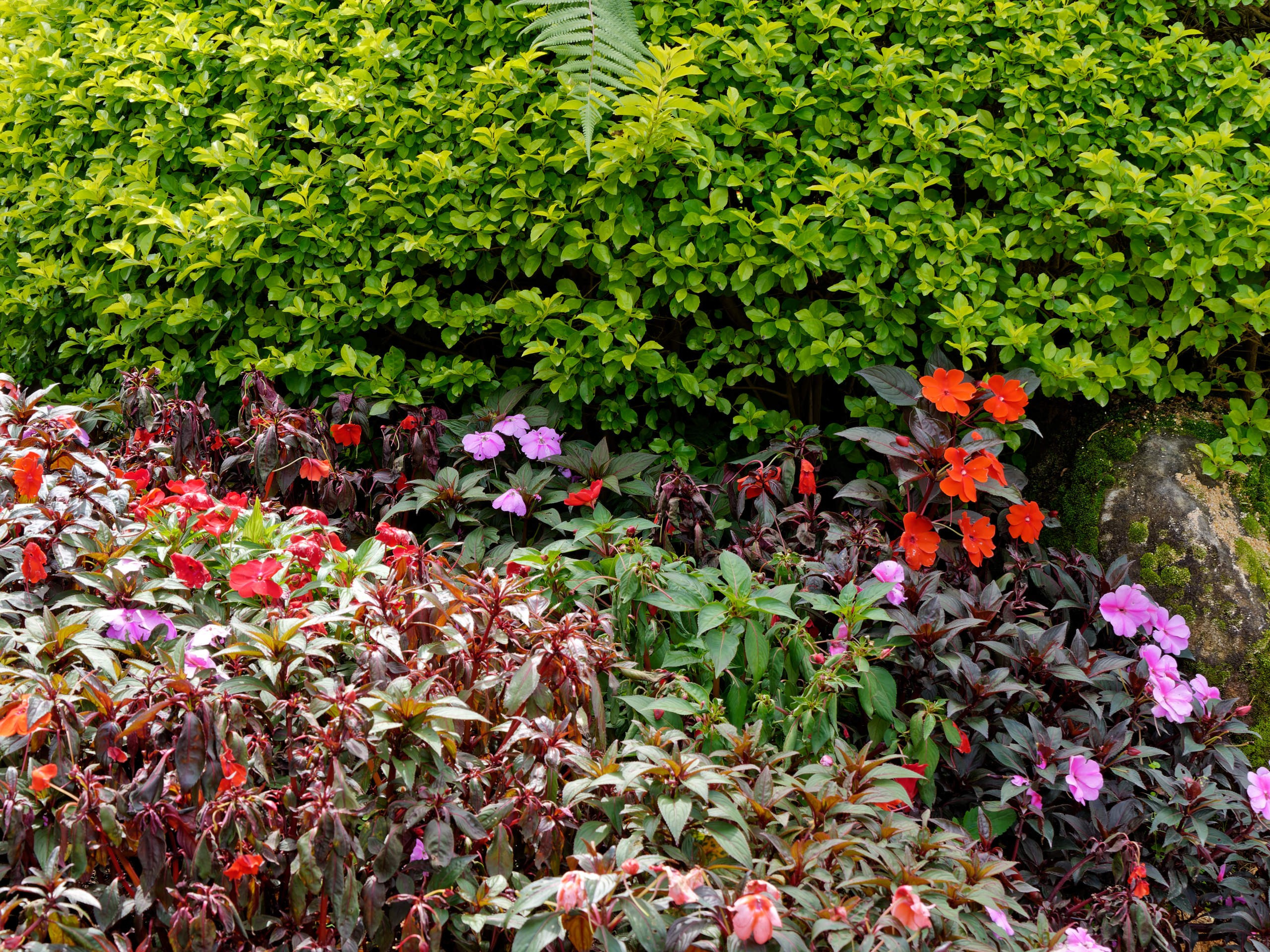 Далат 2023. Избранные фотографии