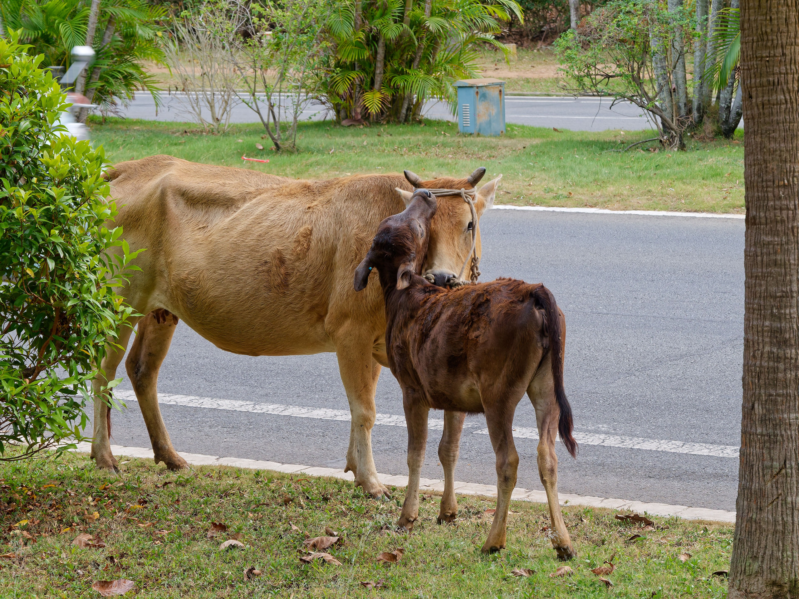 Хайнань 2026, улицы Ялунвань и Саньи. Фотопрогулки по Миру