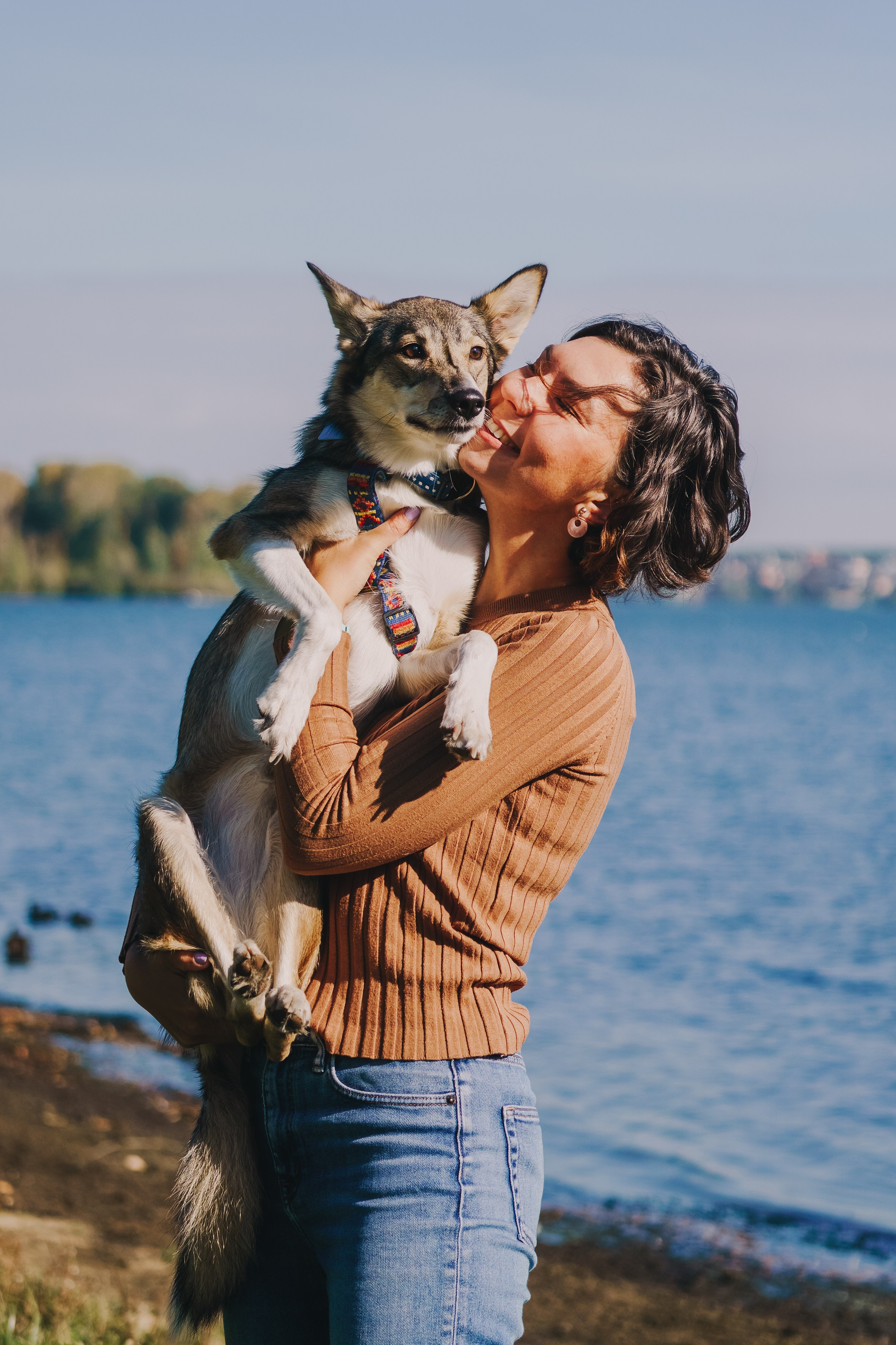 Life with dog. Saamill