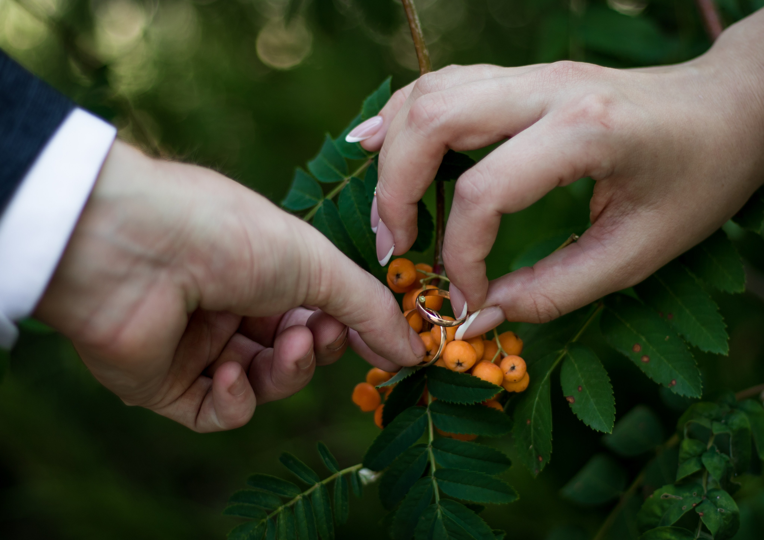 Фотографы. Организатор праздников. Ведущая Марина Гребенникова