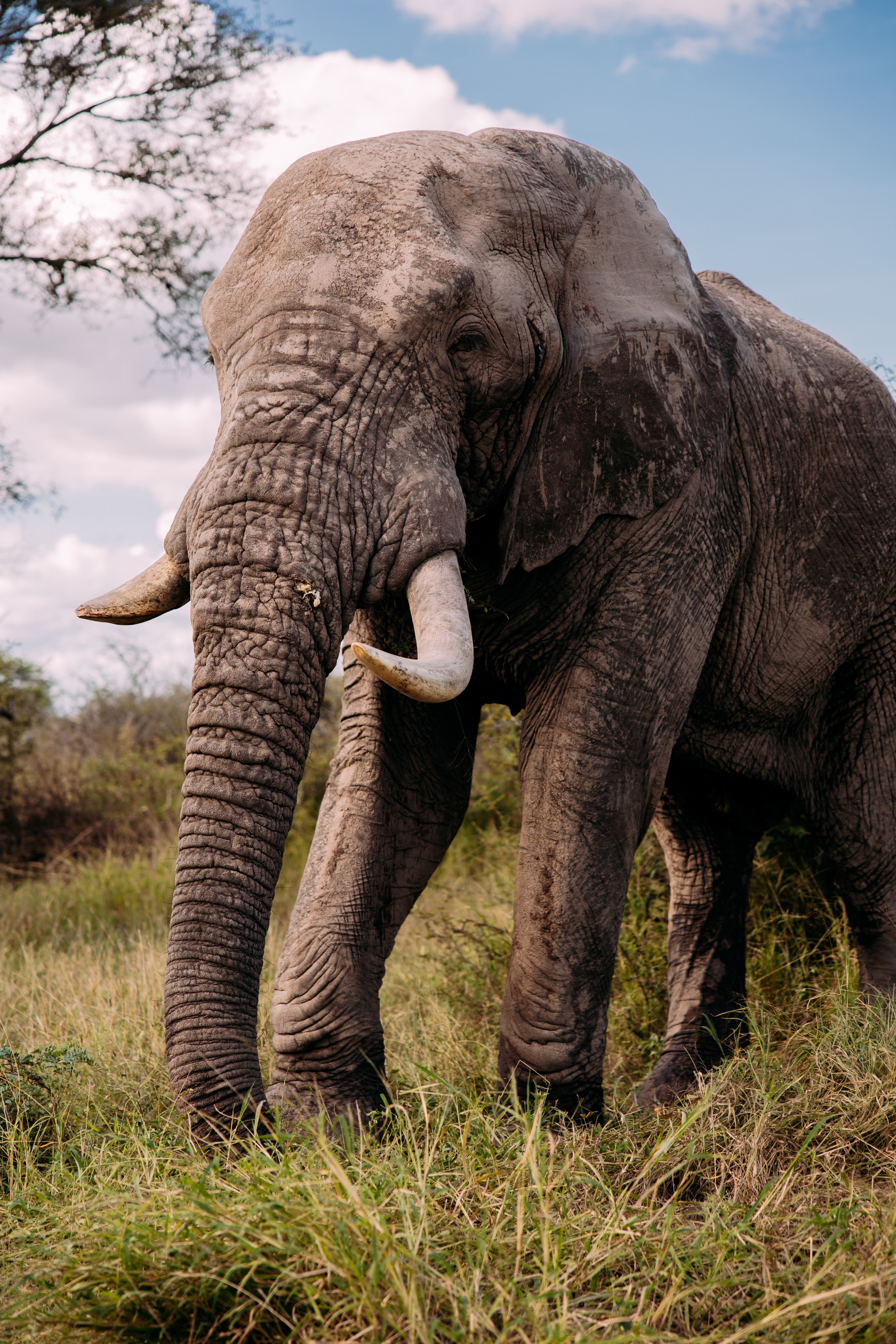 ФОТО ТУРЫ ПО МИРУ. Фотограф Марина Аблаева-Кожедуб