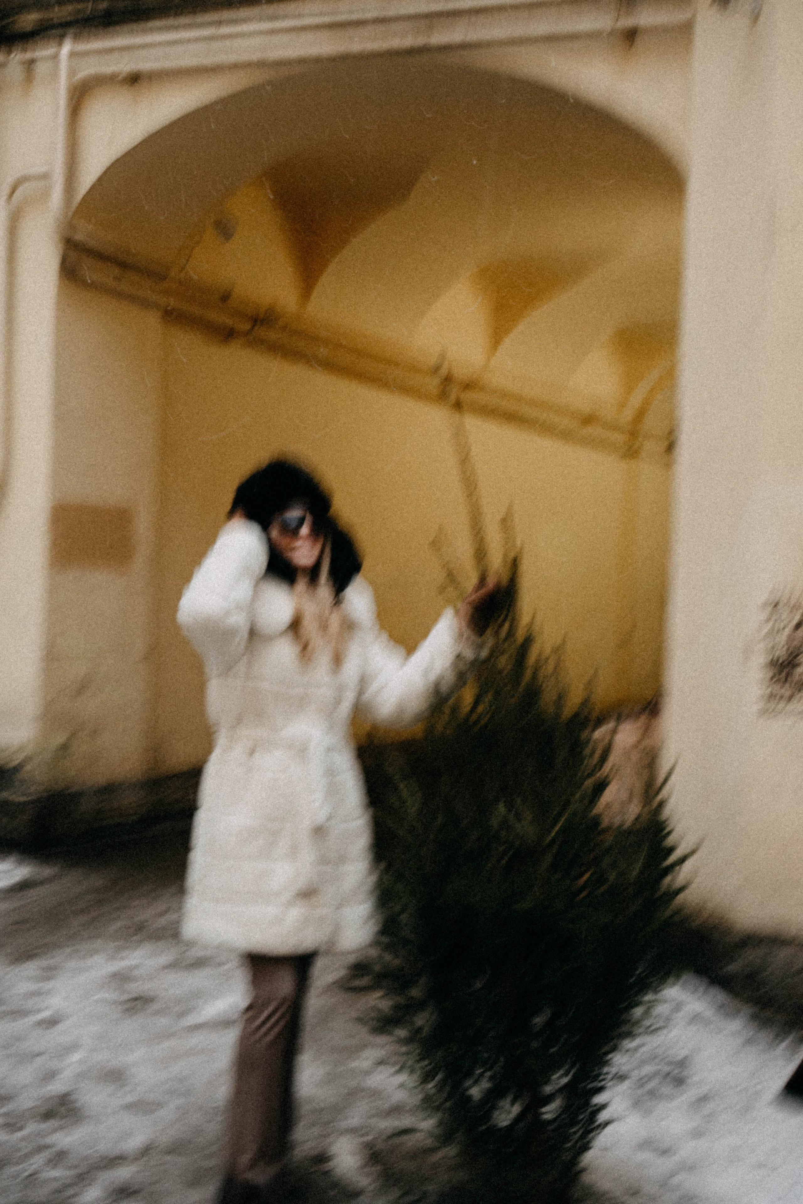 Новогодняя. Профессиональный фотограф, Санкт-Петербург — Виктория Богомолова