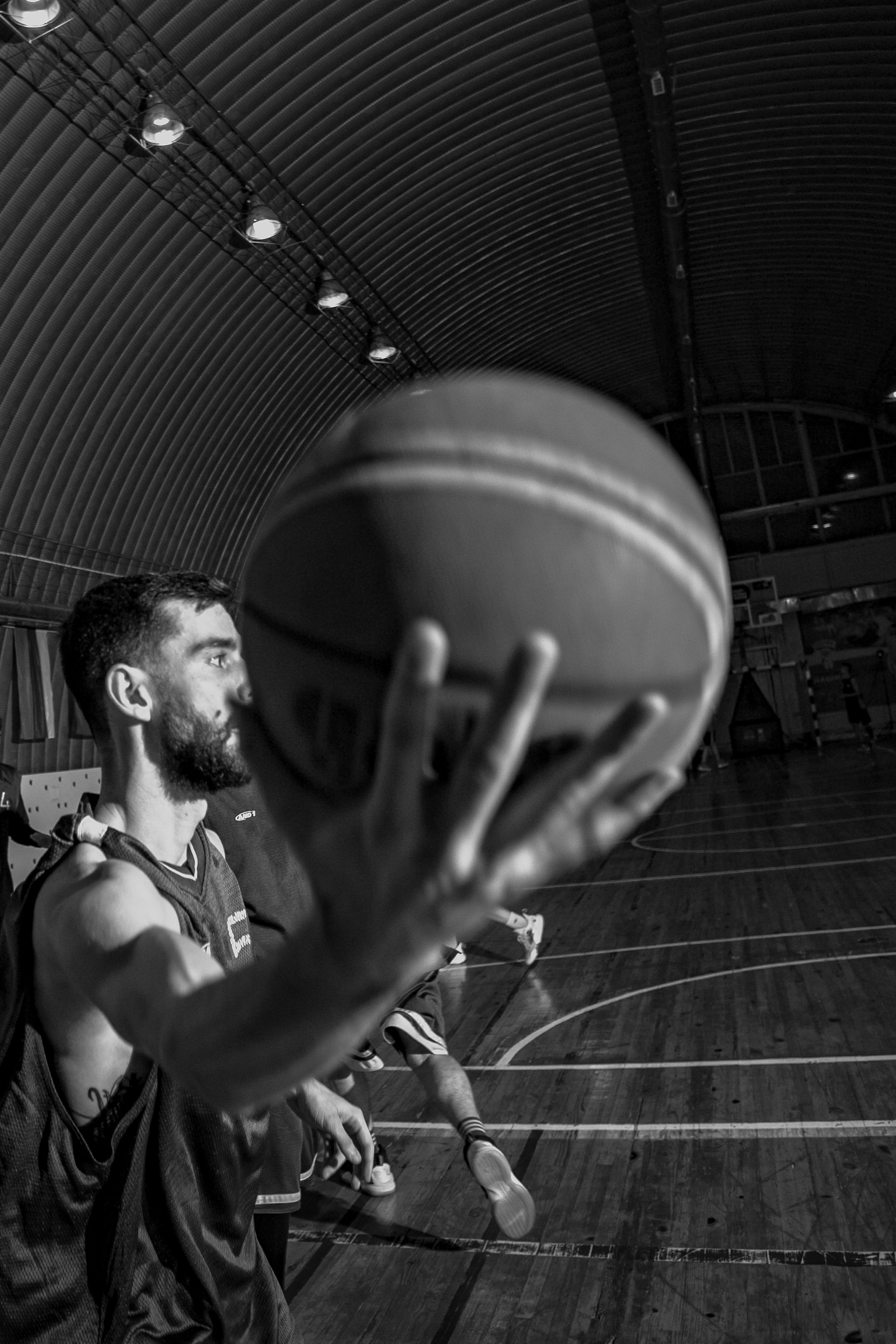 БК Сибиряки. Фотограф Князев Сергей