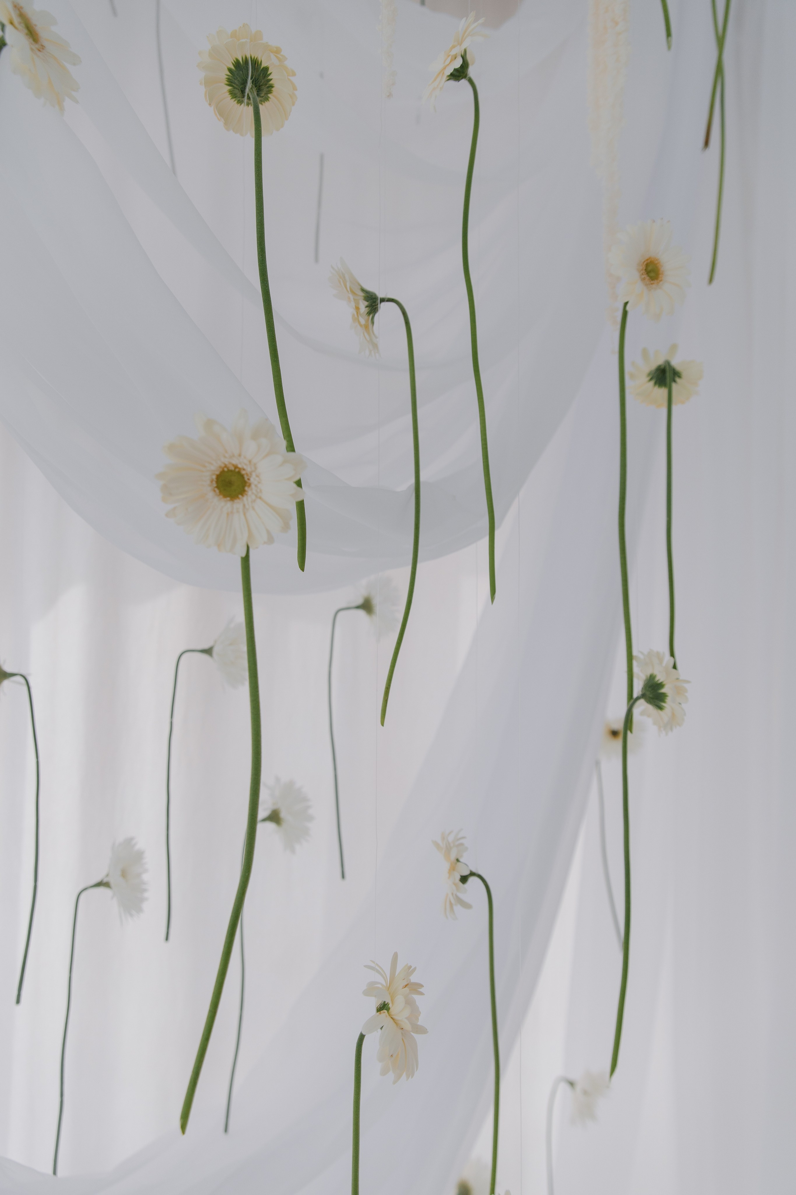 Павел и Елена. Свадебный фотограф Краснодар