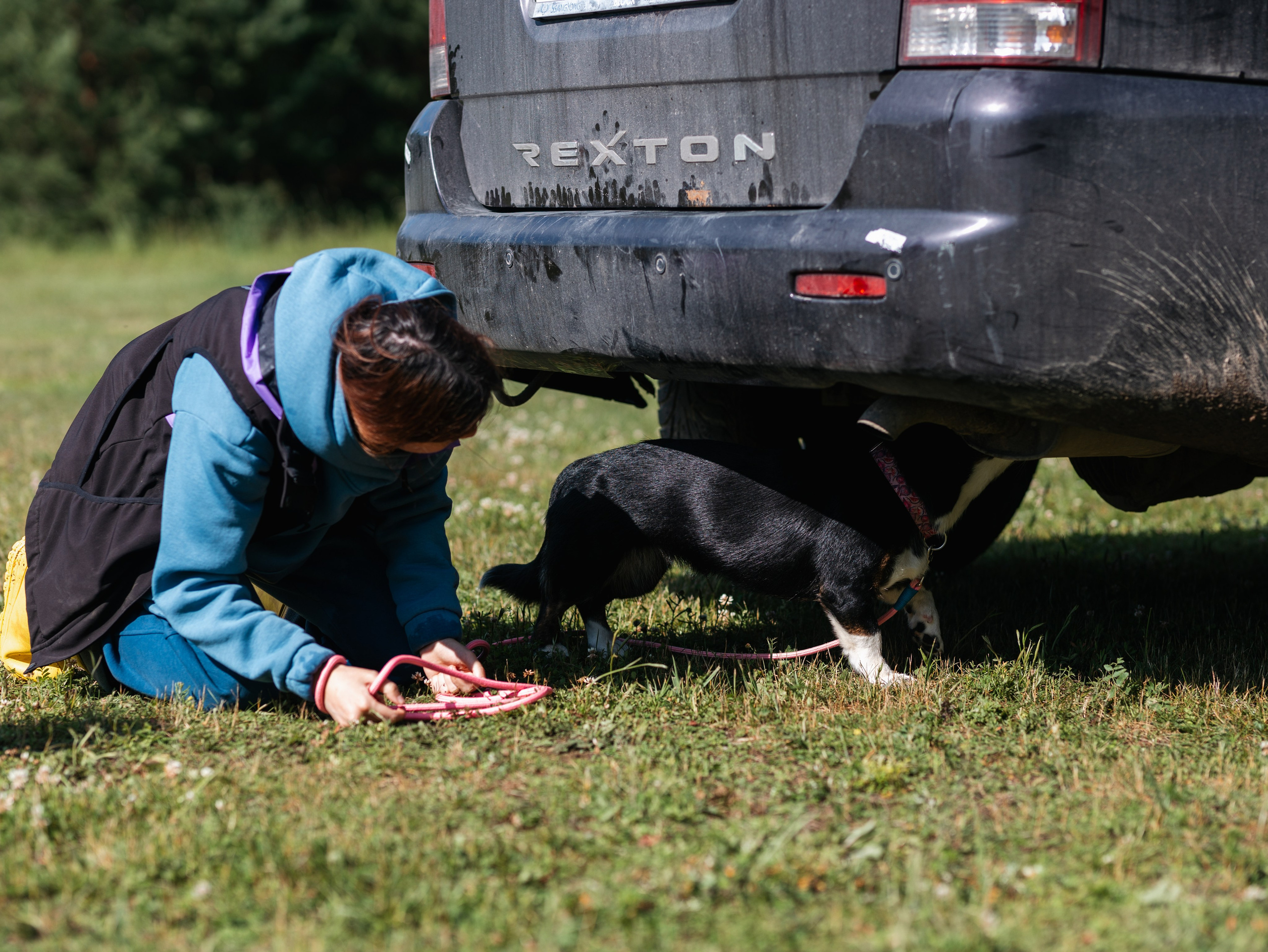 Лагерь ноузворк. Фотограф-анималист в Москве Кириллова Татьяна