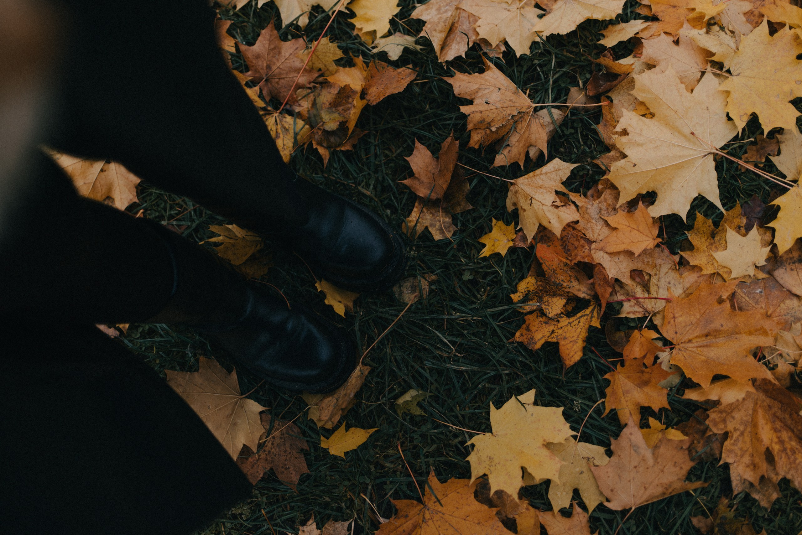 24/10/23. Фотограф в Москве Горбачева Алена