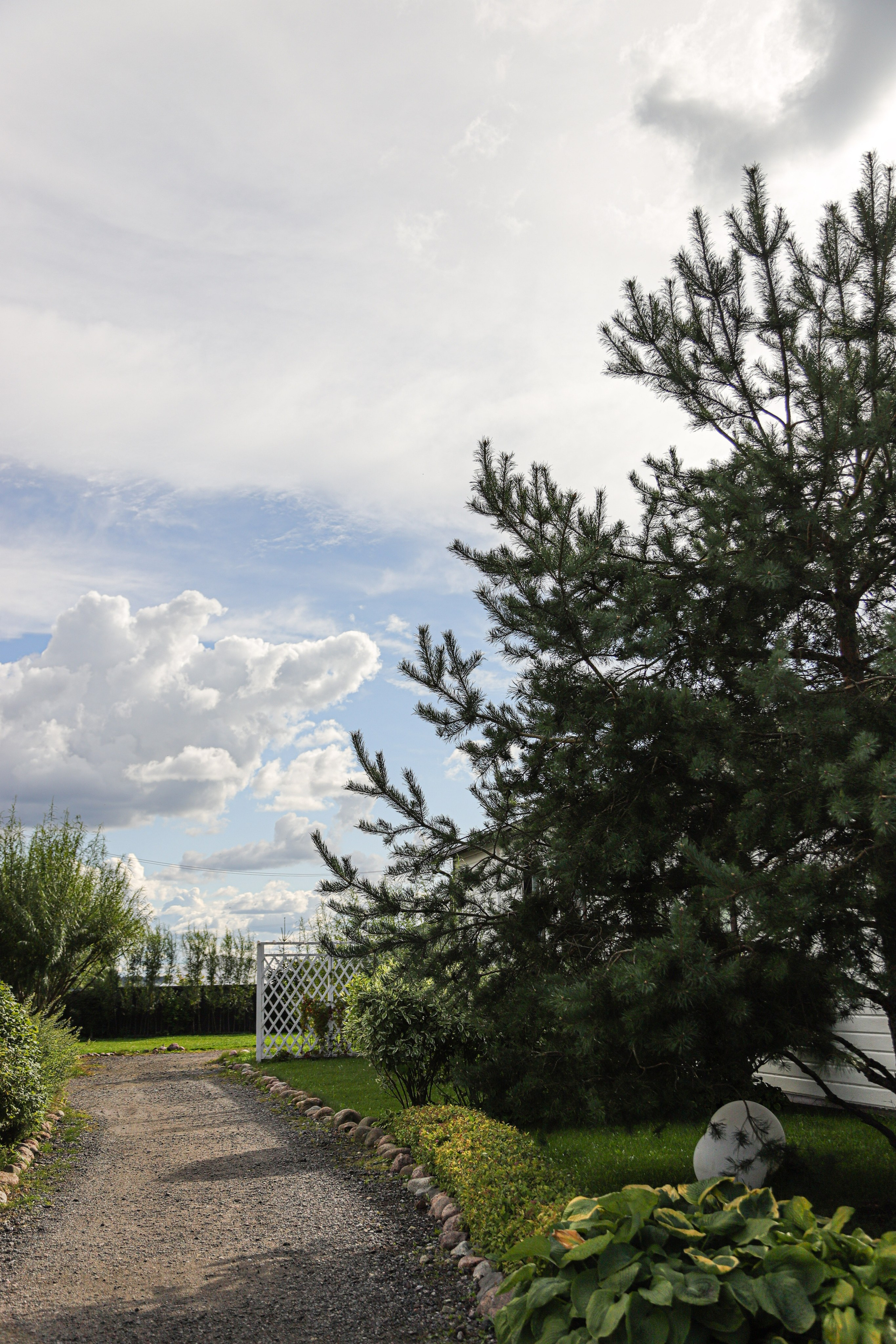Анастасия и Никита. Свадебный фотограф в СПб и Москве Павел Сергеев