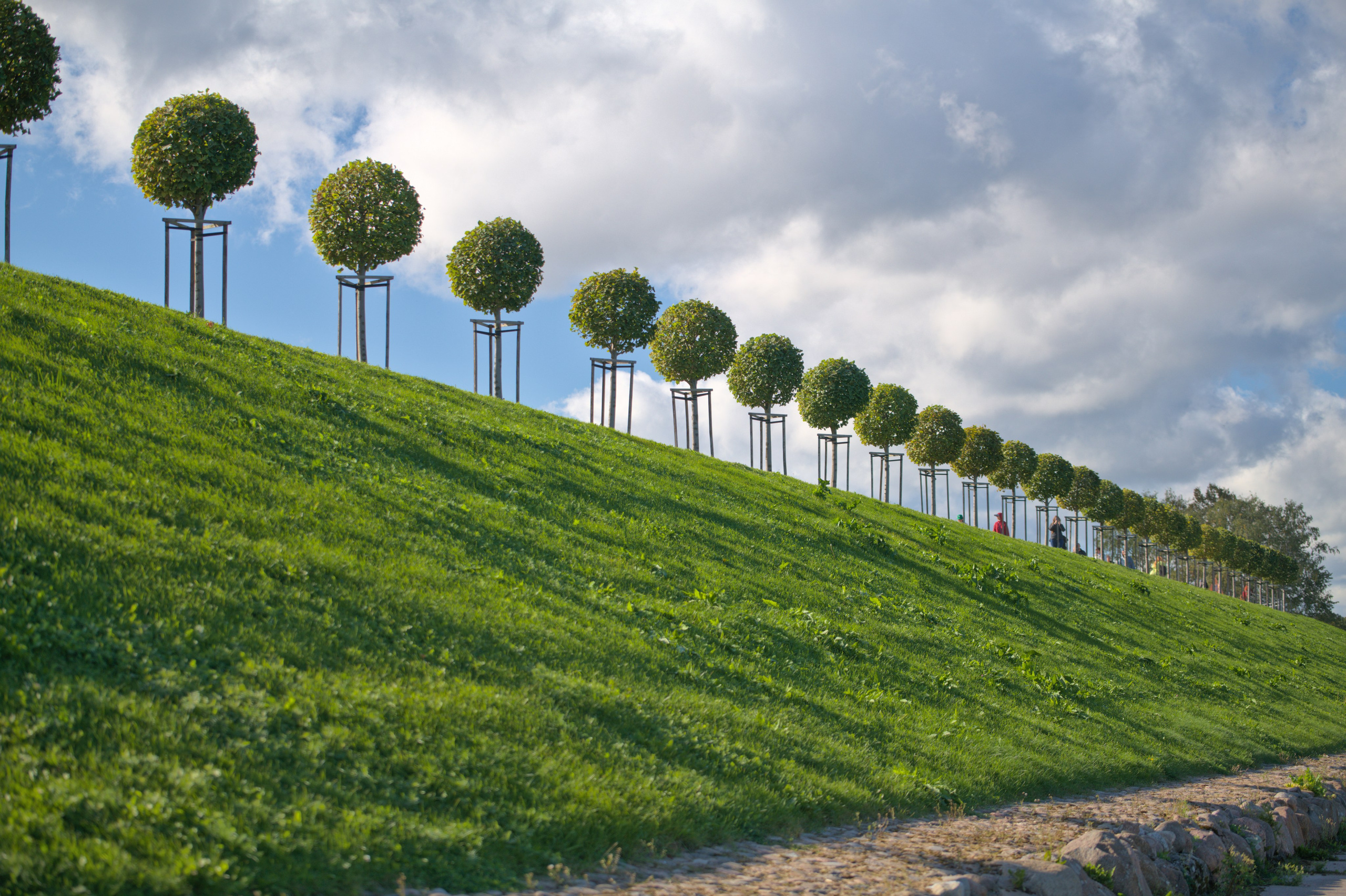 Природа. Фото детских спортивных мероприятий и всякое интересное через объектив