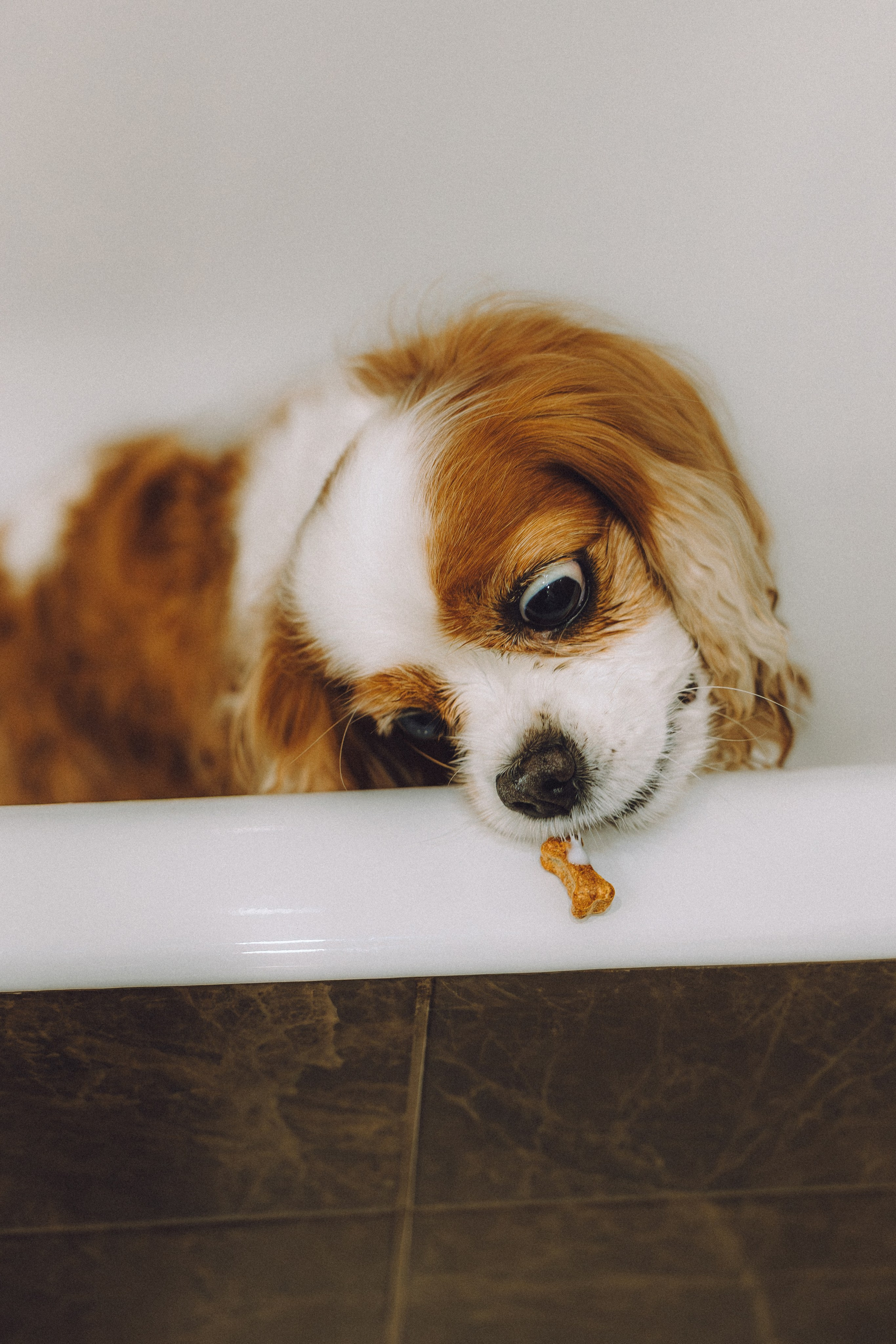 Наташа и Вики