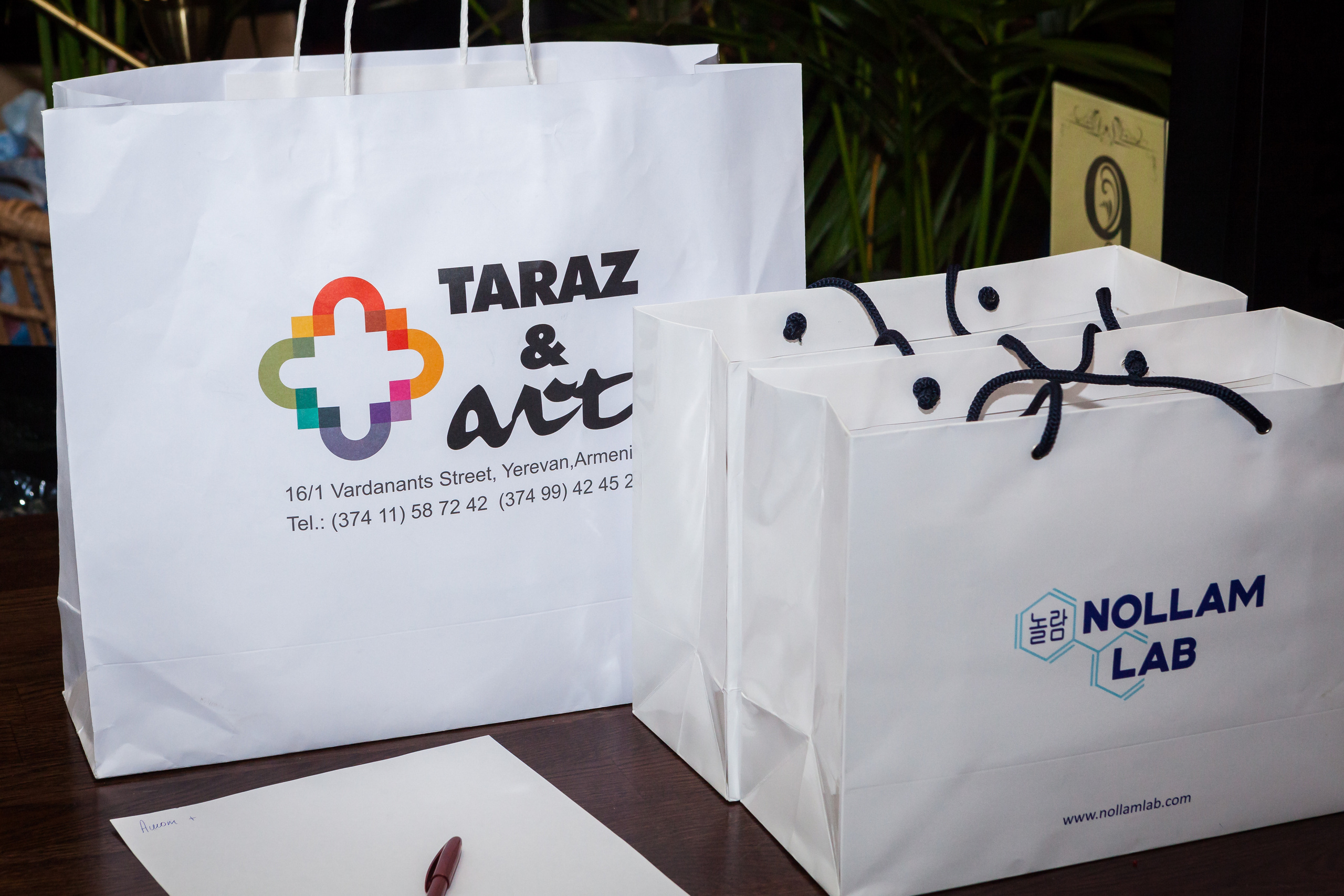 Intelligent game. Alexander Grigoryan photography