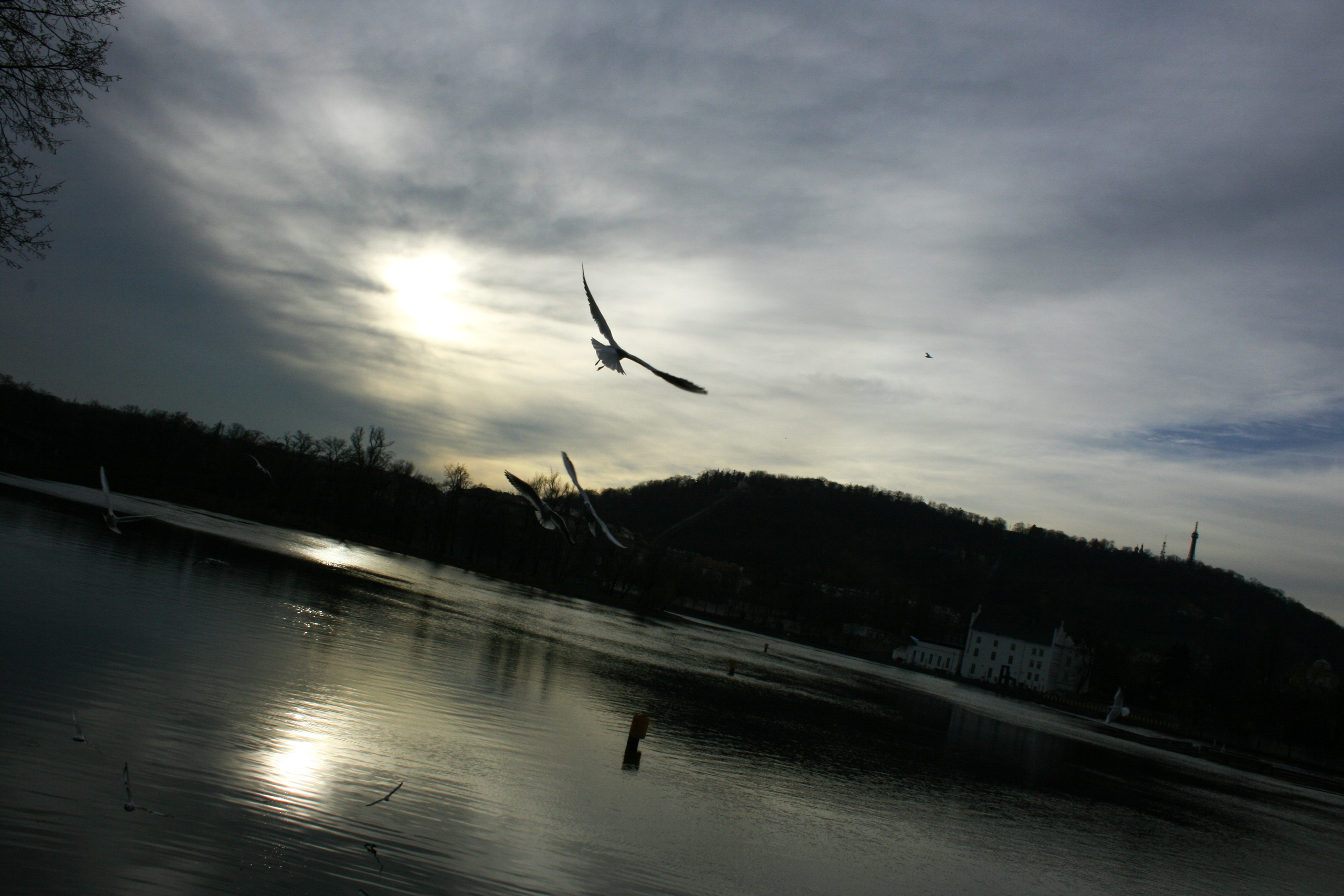 Nature. Alexander Grigoryan photography