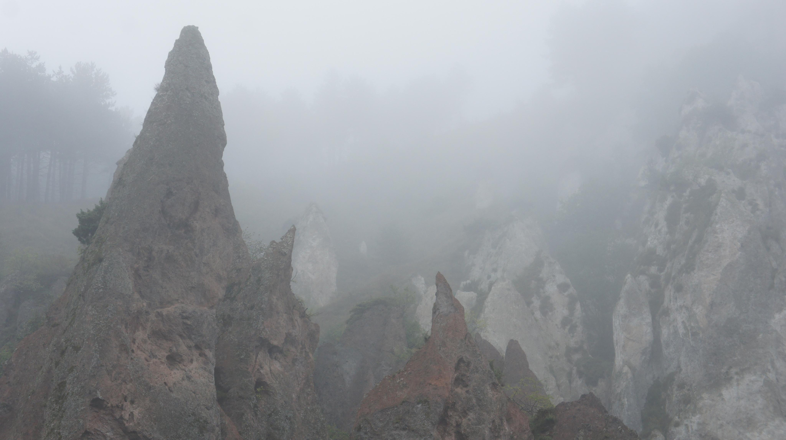 Nature. Alexander Grigoryan photography