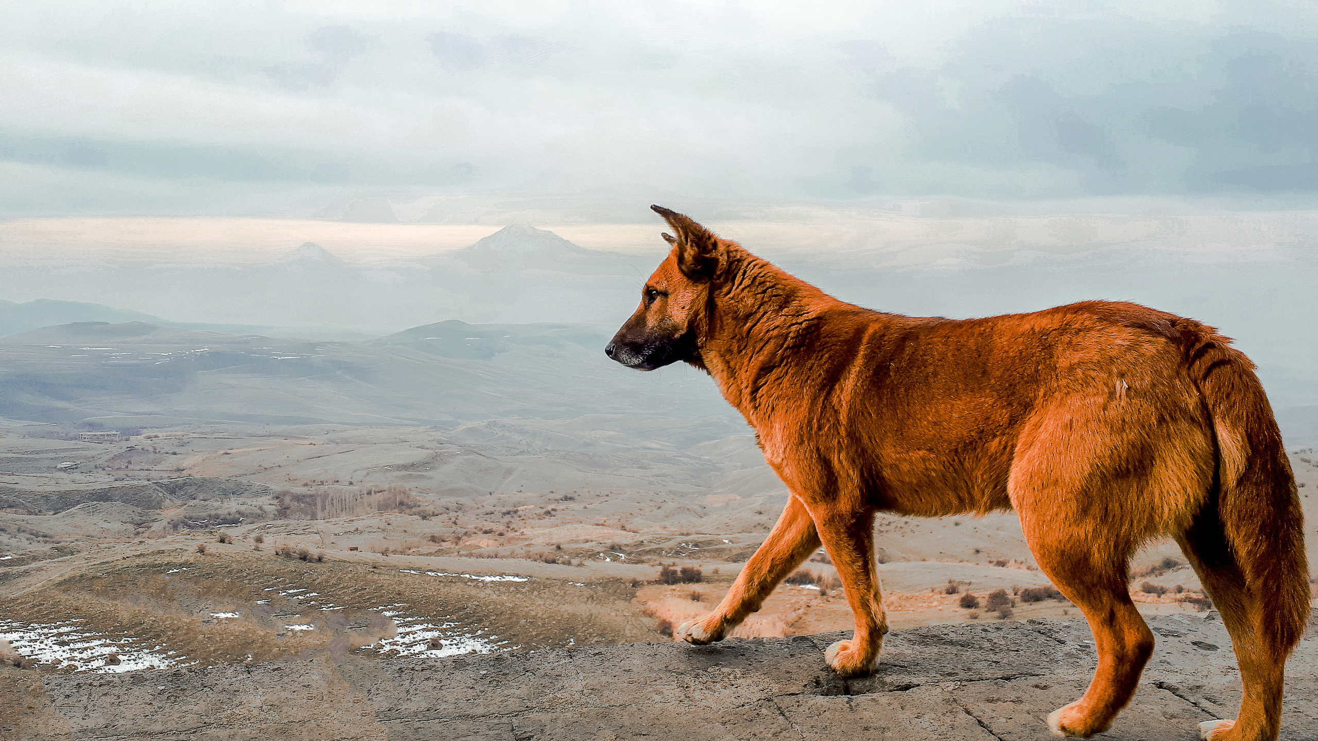 Fotógrafo: Alexander Grigoryan