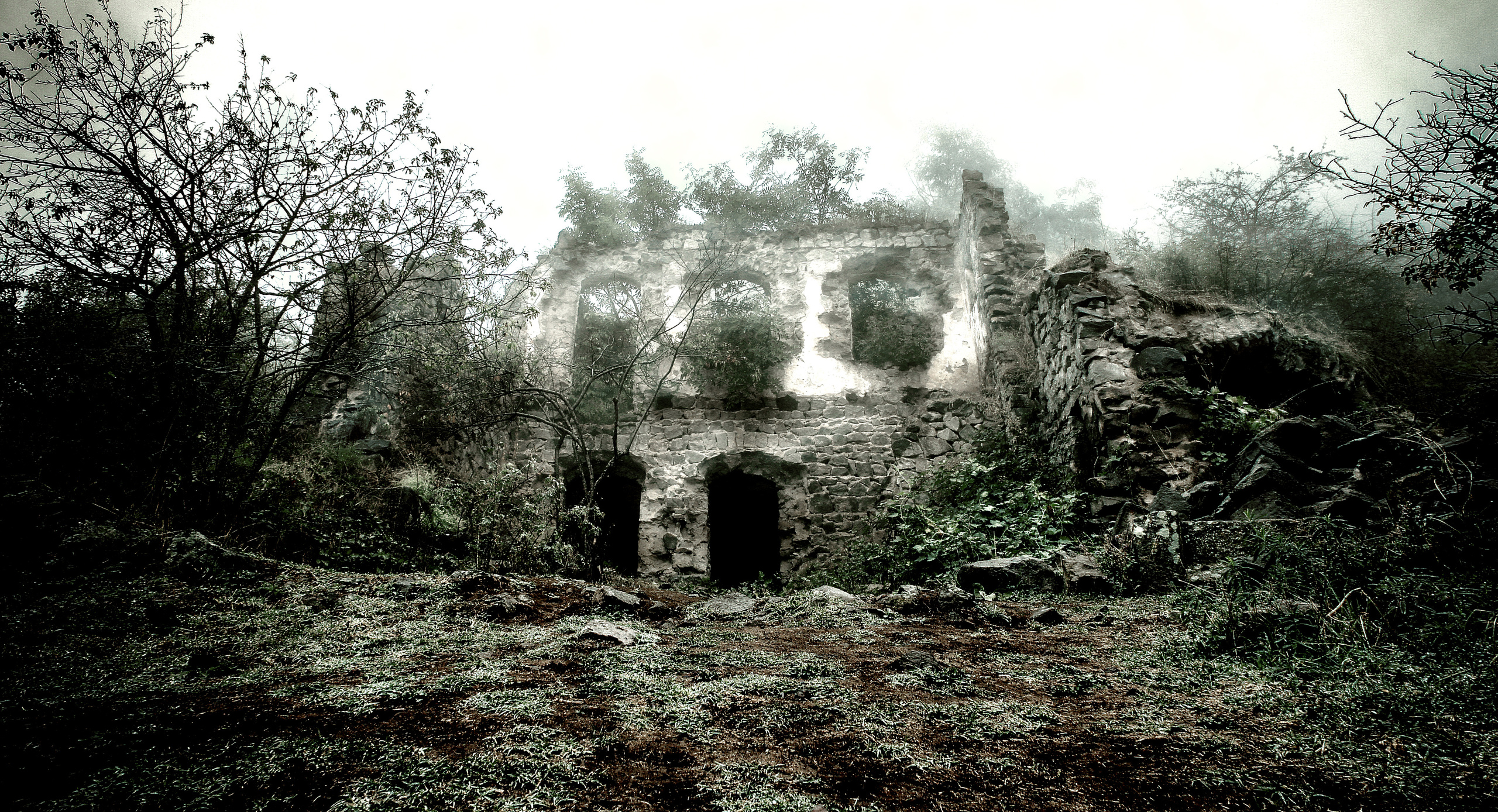 Nature. Alexander Grigoryan photography