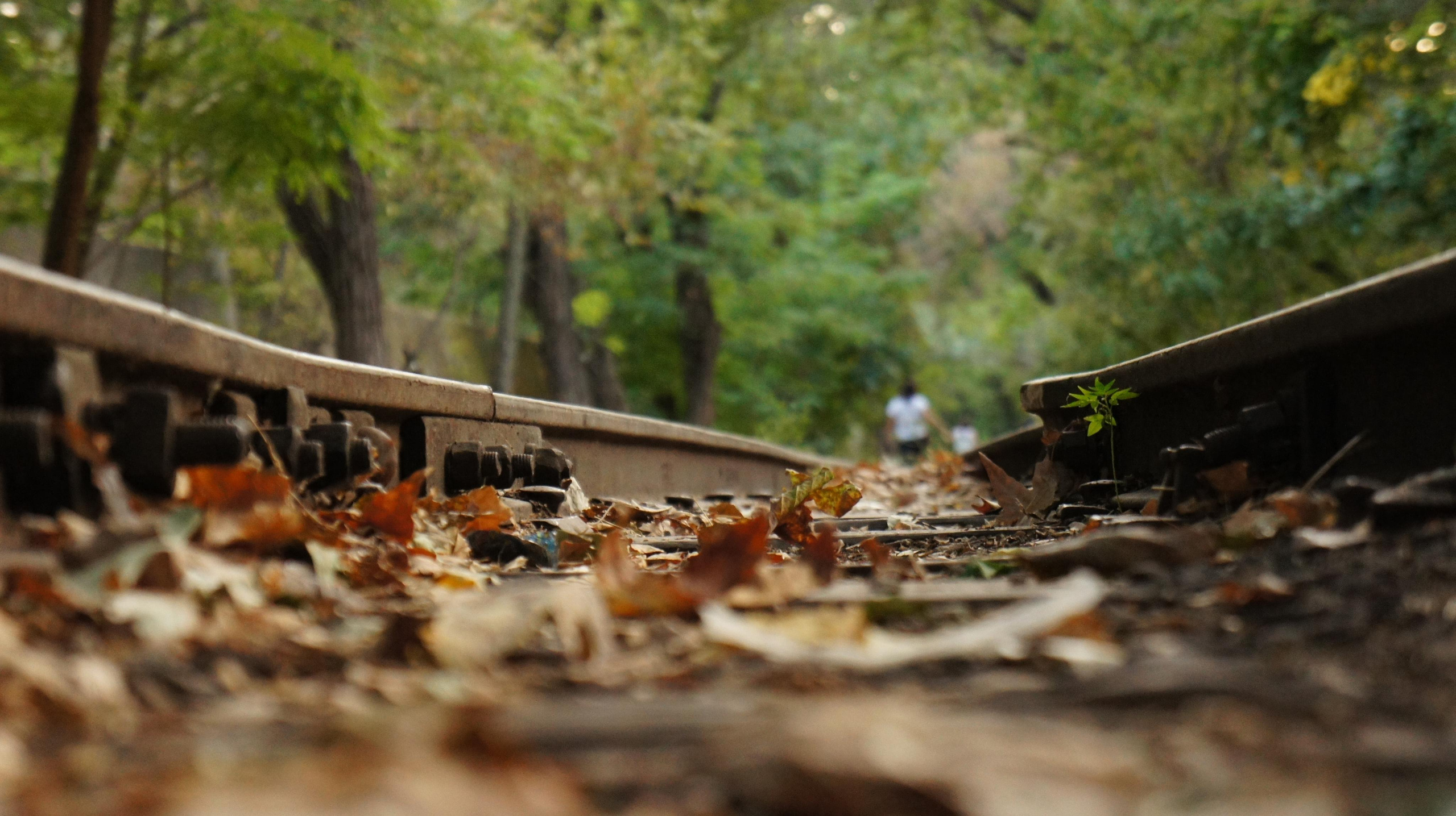 Nature. Alexander Grigoryan photography