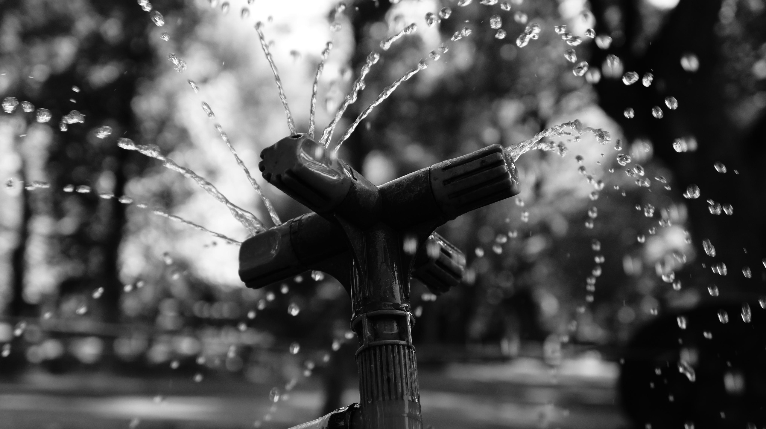 Ч/Б. Alexander Grigoryan photography