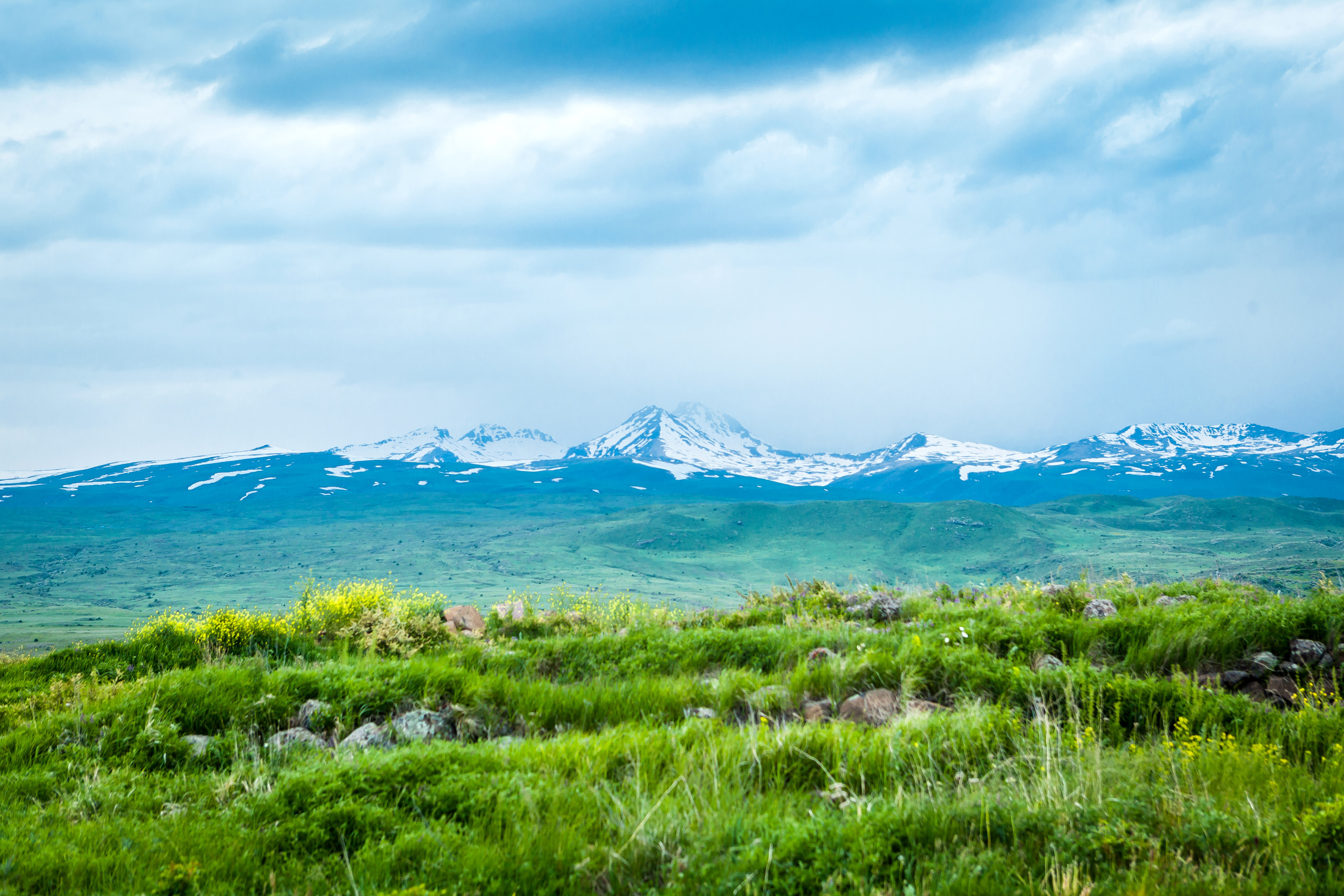 Nature. Alexander Grigoryan photography