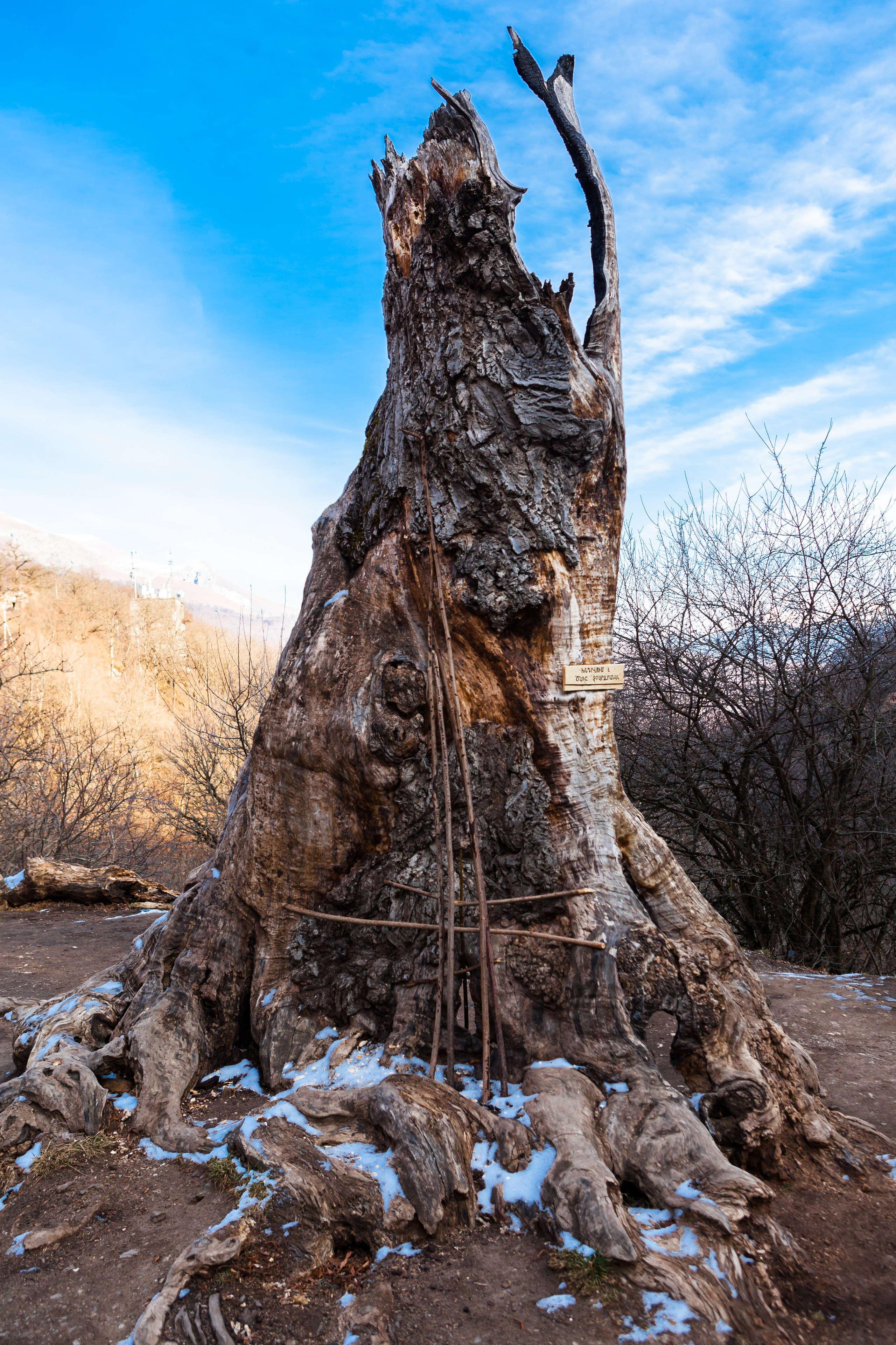 Nature. Alexander Grigoryan photography