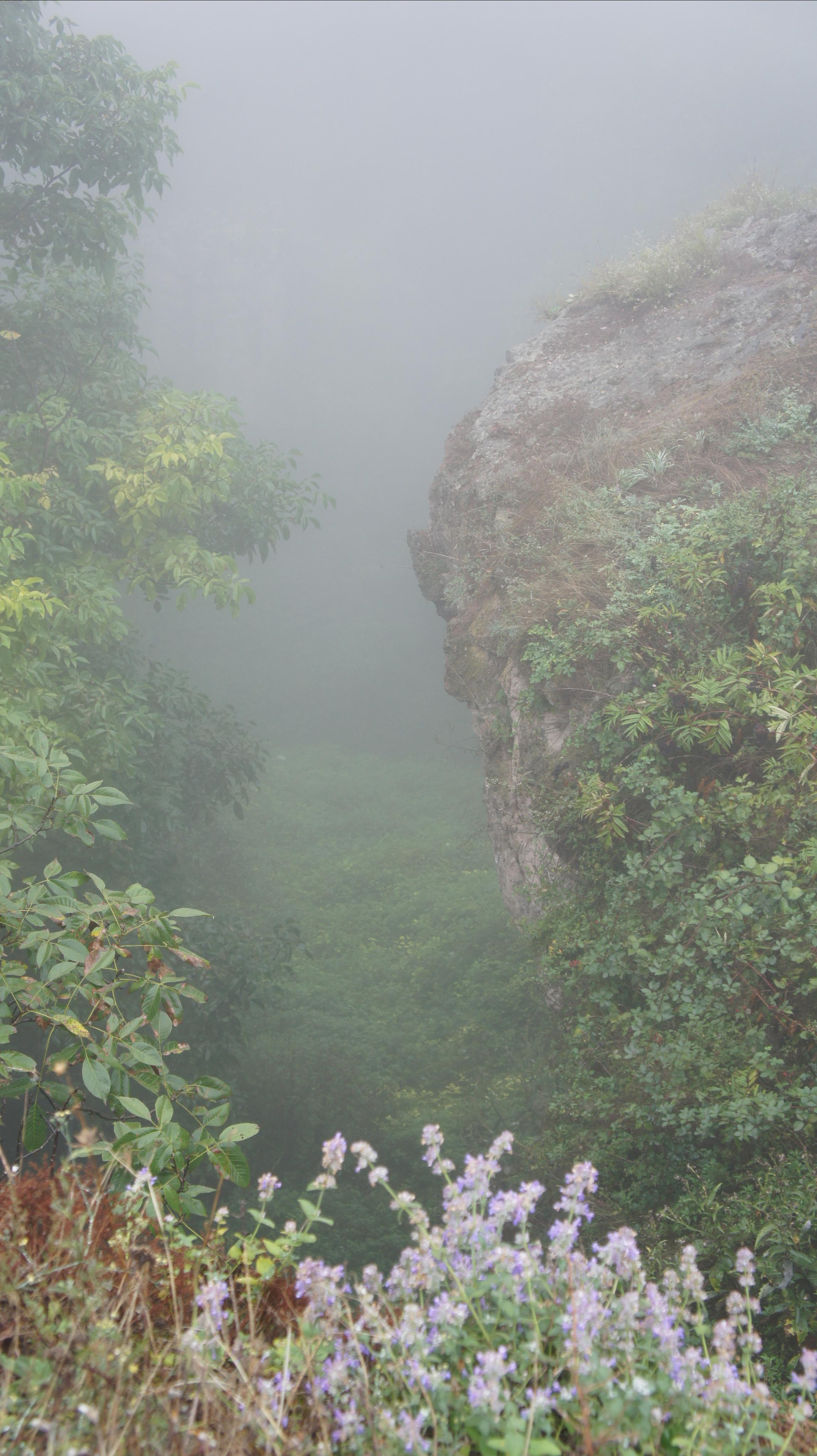 Nature. Alexander Grigoryan photography