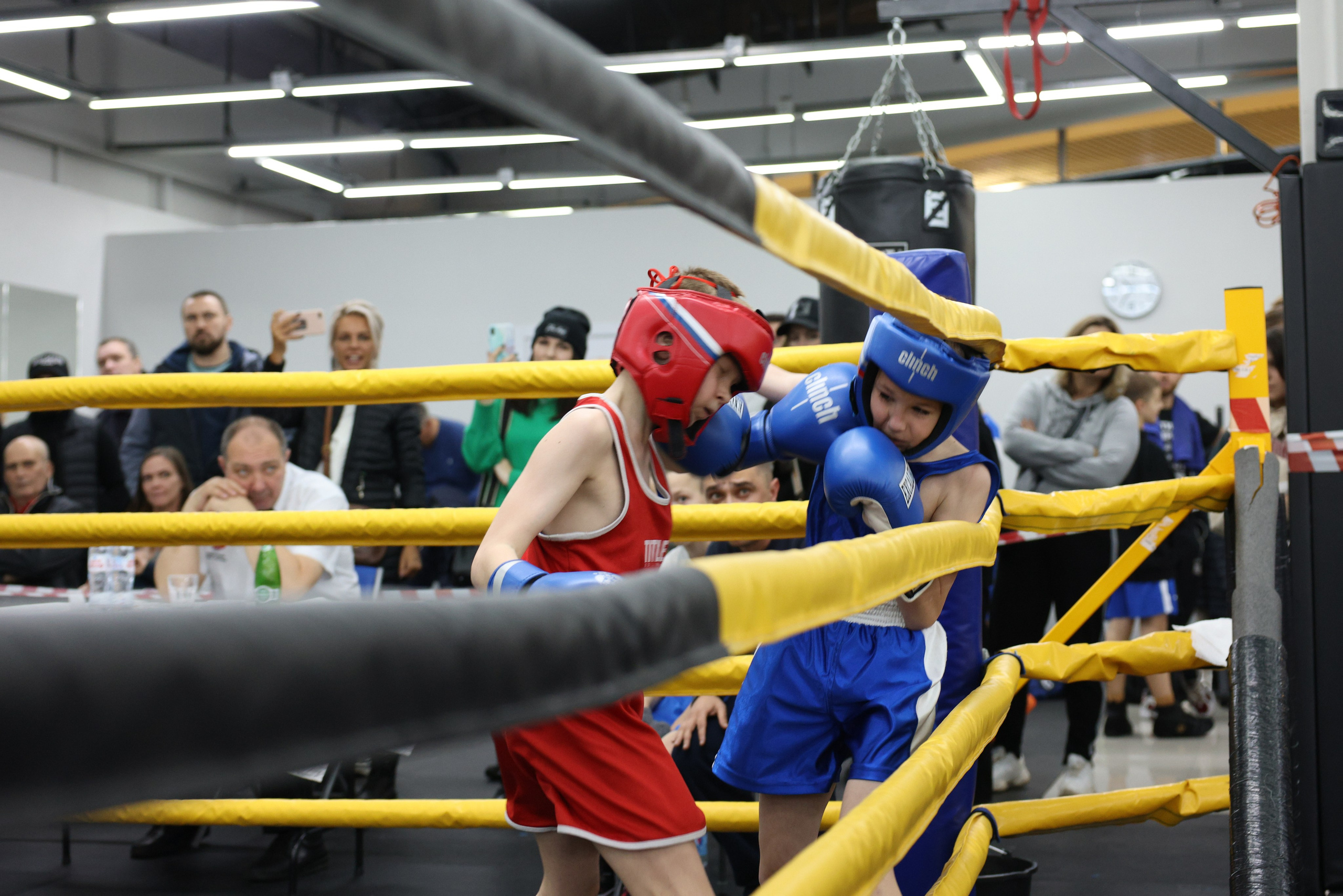 Открытый ринг «кубок ООО «ТЭК НеваСпецТяж». Фотограф Александр Заломаев
