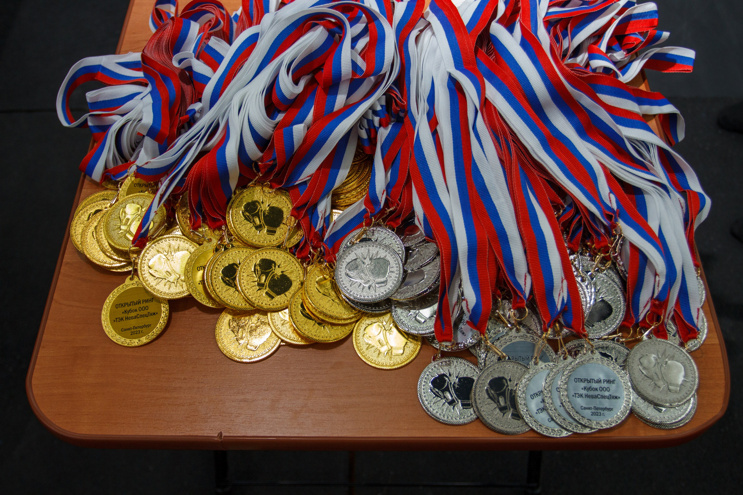 Открытый ринг «кубок ООО «ТЭК НеваСпецТяж». Фотограф Александр Заломаев