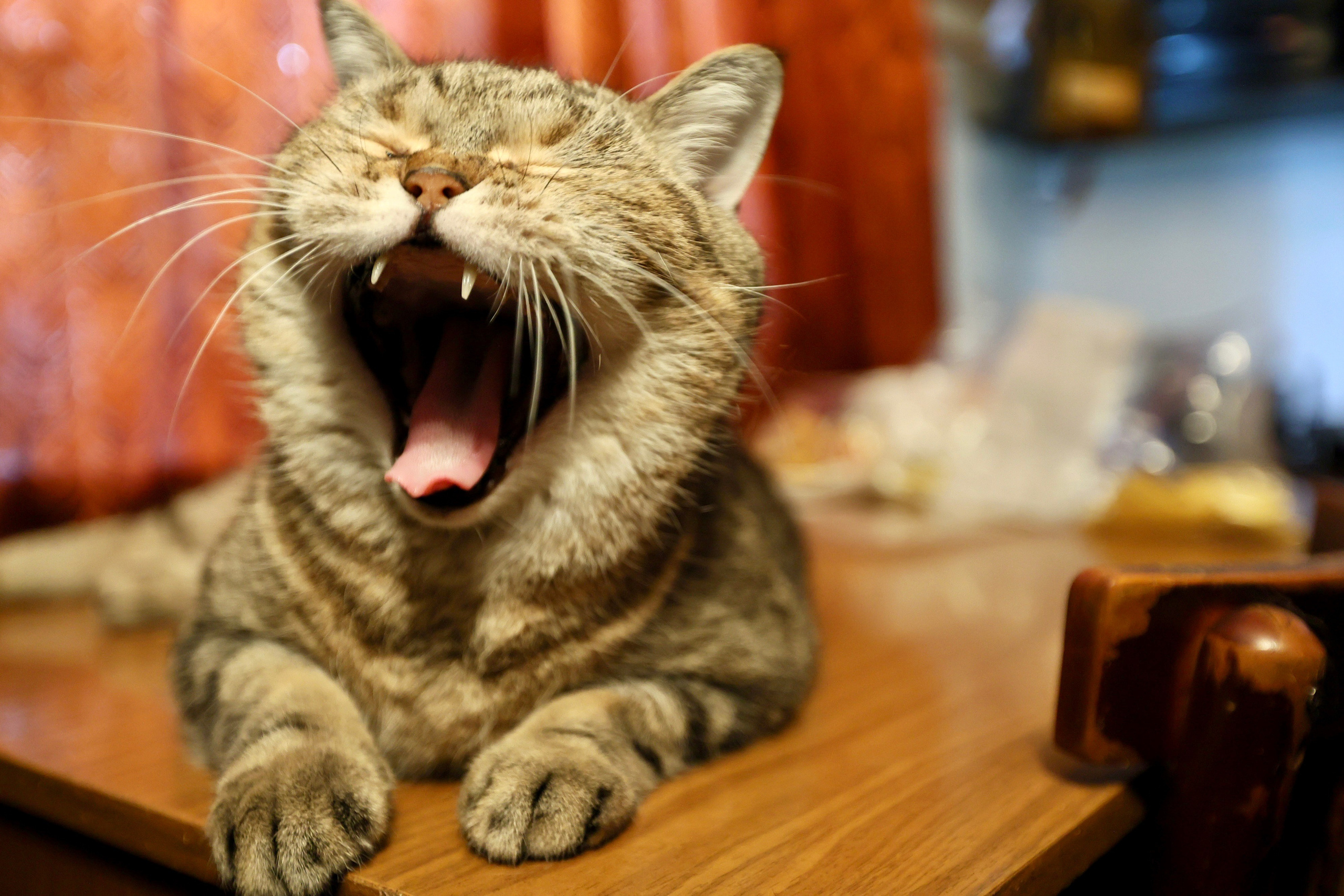 Людмила Владимировна. Хозяйка маленького дома в окружении многоэтажек. Репортажный фотограф Наталья Лапцевич