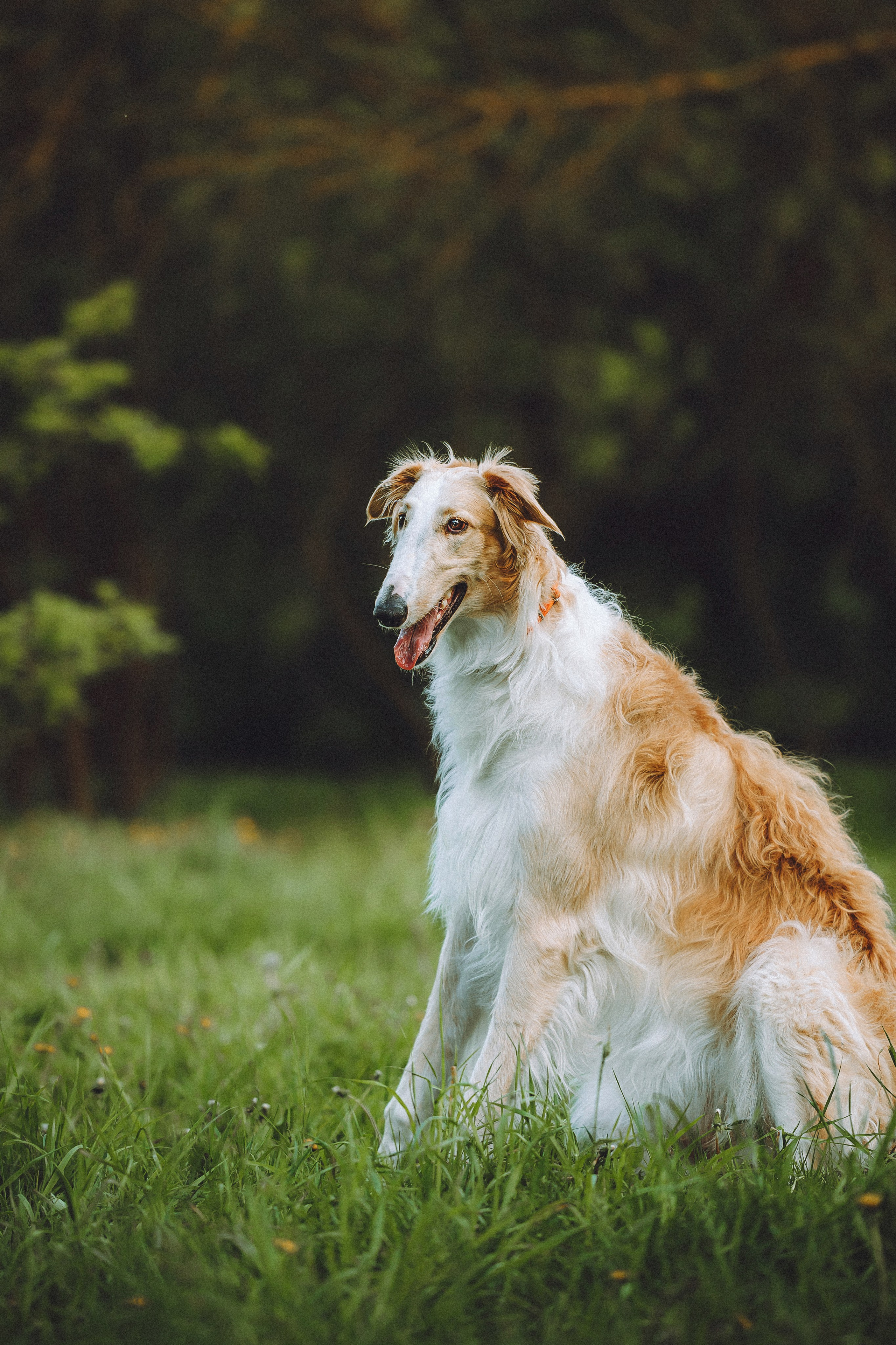 Илай, Зайка и их семья