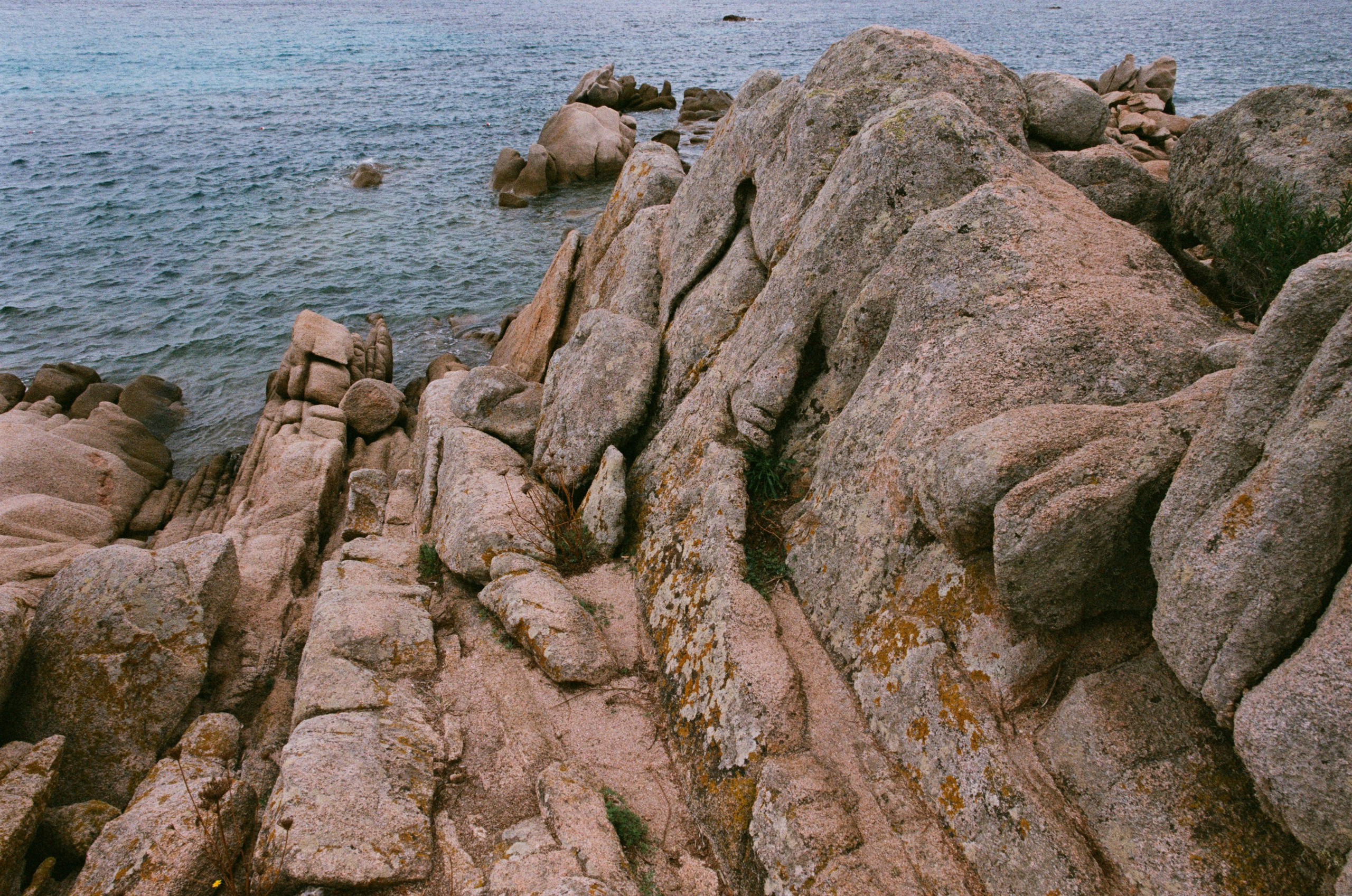 Coraline // sardinia, costa smeralda. EVER EXPOSED