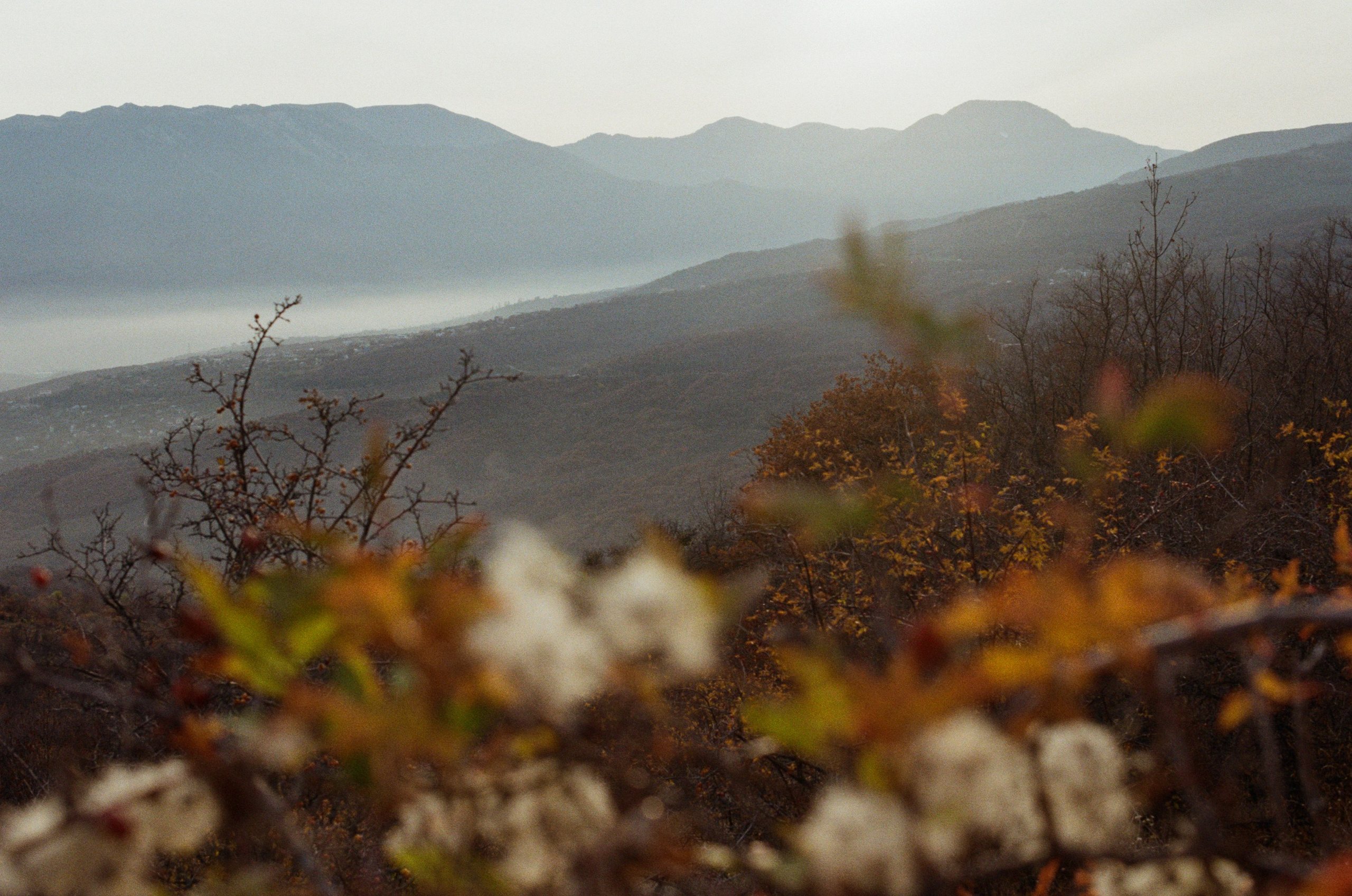 Wherever you will go // ukraine, crimea VI. EVER EXPOSED