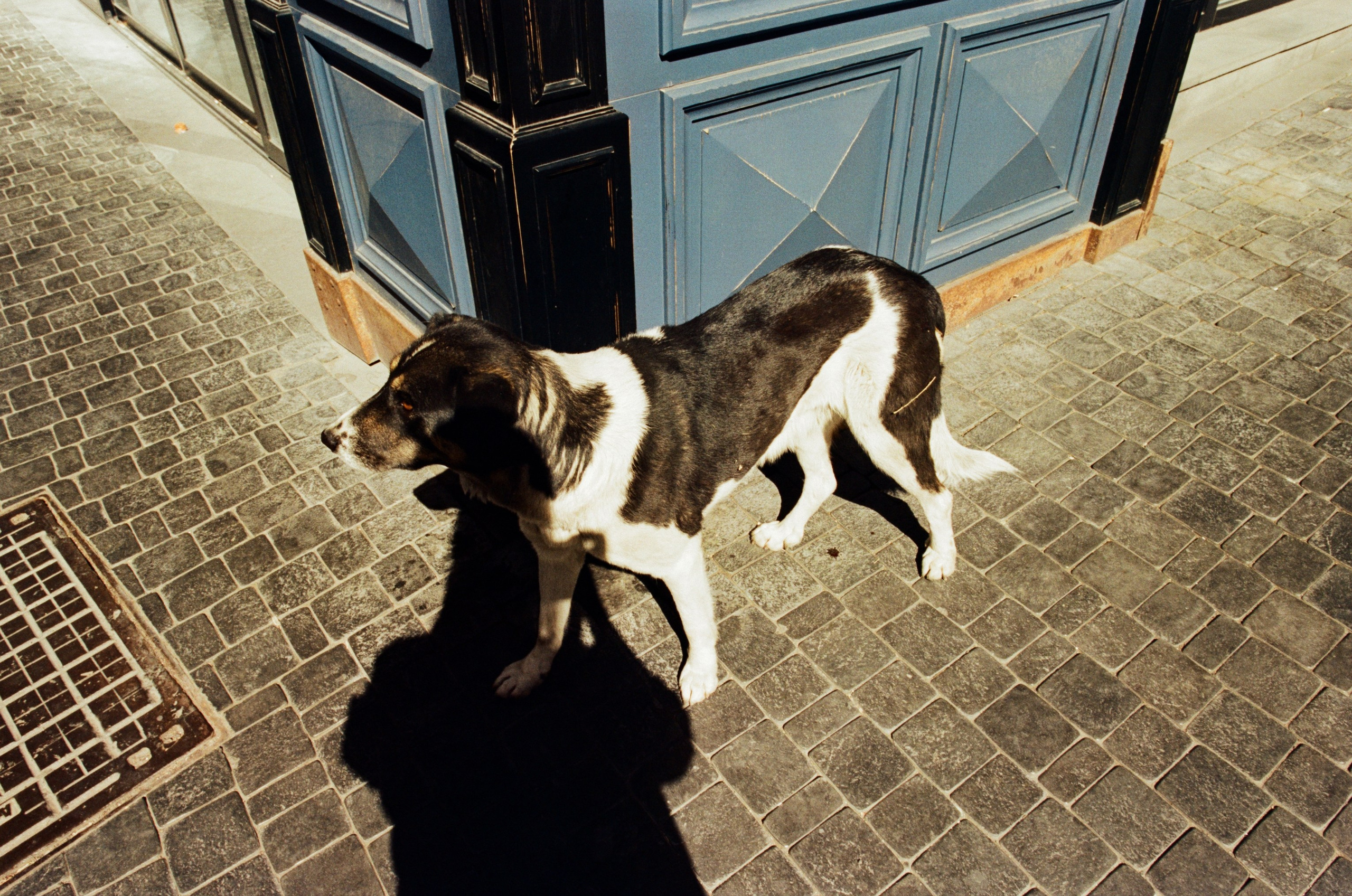 Darkest lullaby // armenia, yerevan IV. EVER EXPOSED