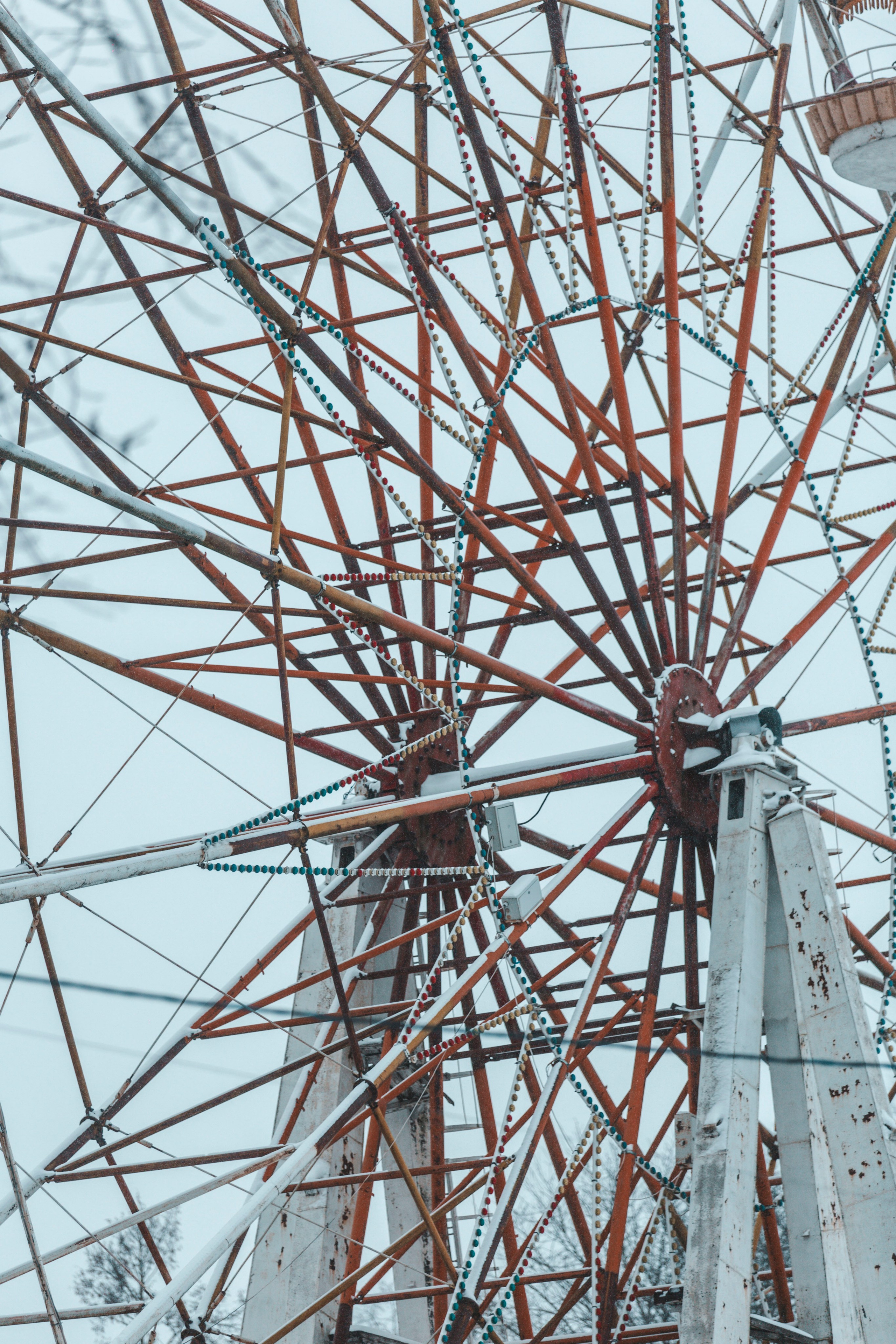 Тверь | январь 2026. Фотограф в Москве | Диана Киселева