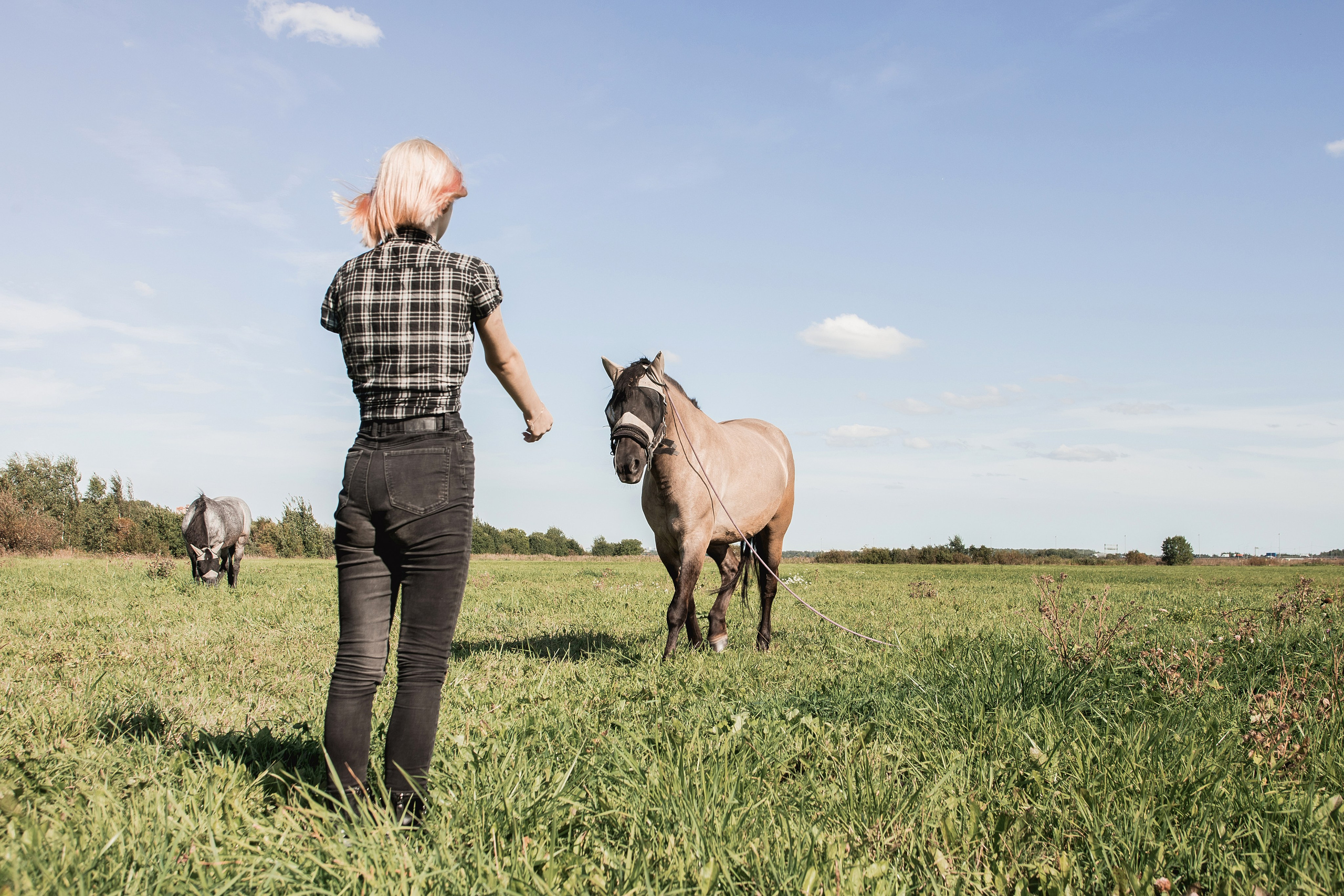 Юля и Кони. Предметный и семейный фотограф в Санкт-Петербурге Катерина Стеклова