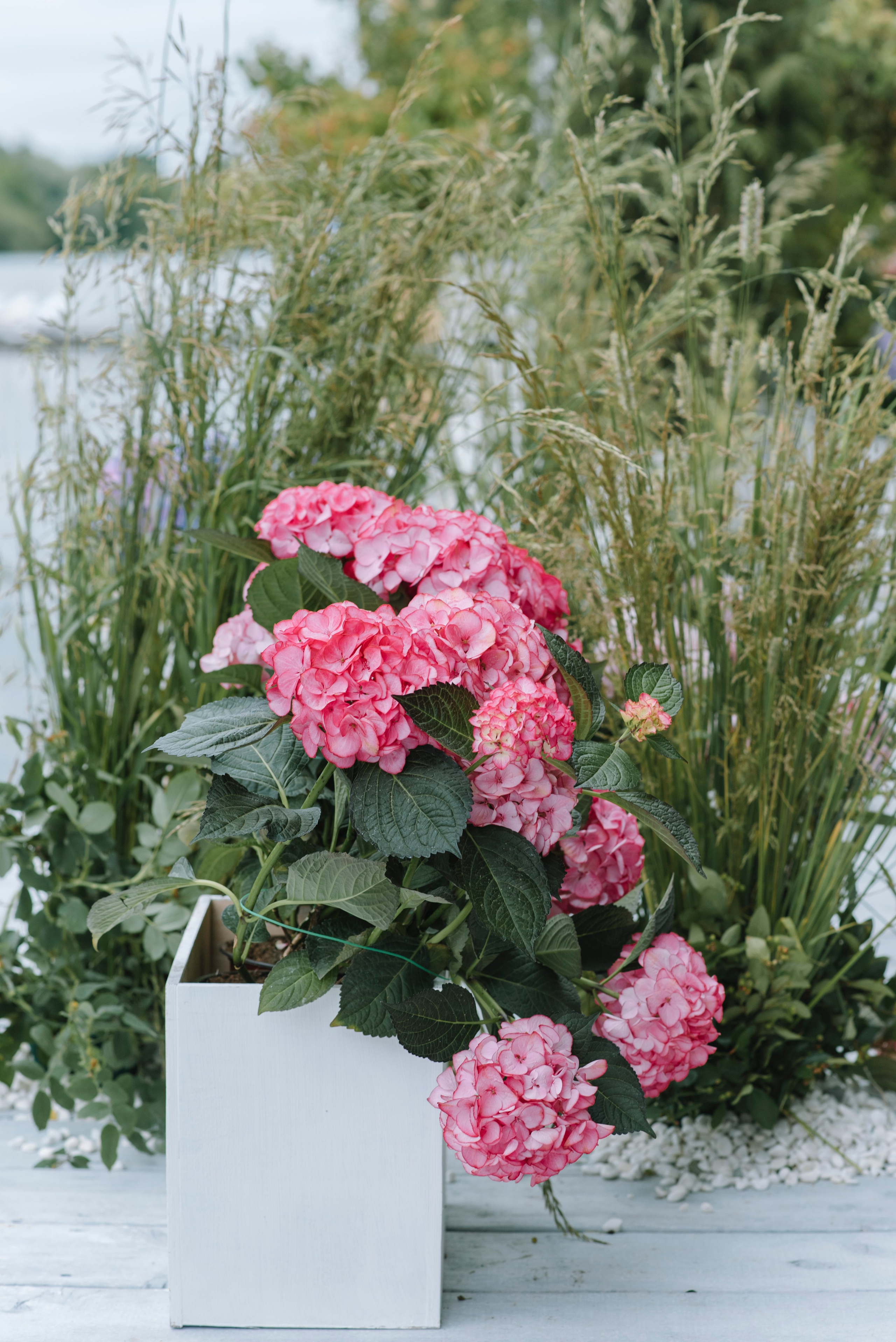 Ресторан Причал. Оформление свадеб, декор свадеб Вера Маркова, Москва