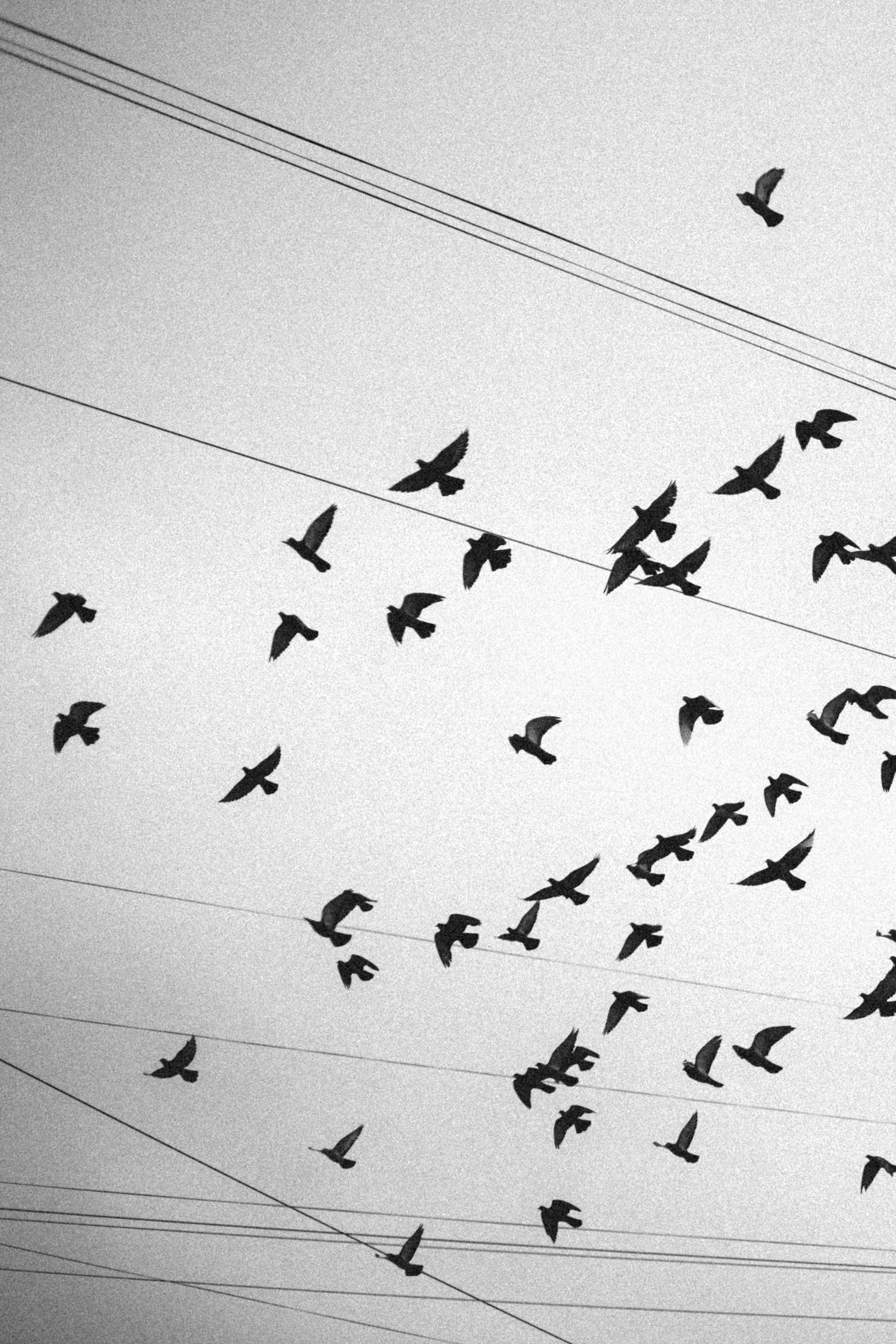 Любовь не мгновенье…это жизнь. Семейный и свадебный фотограф в Екатеринбурге