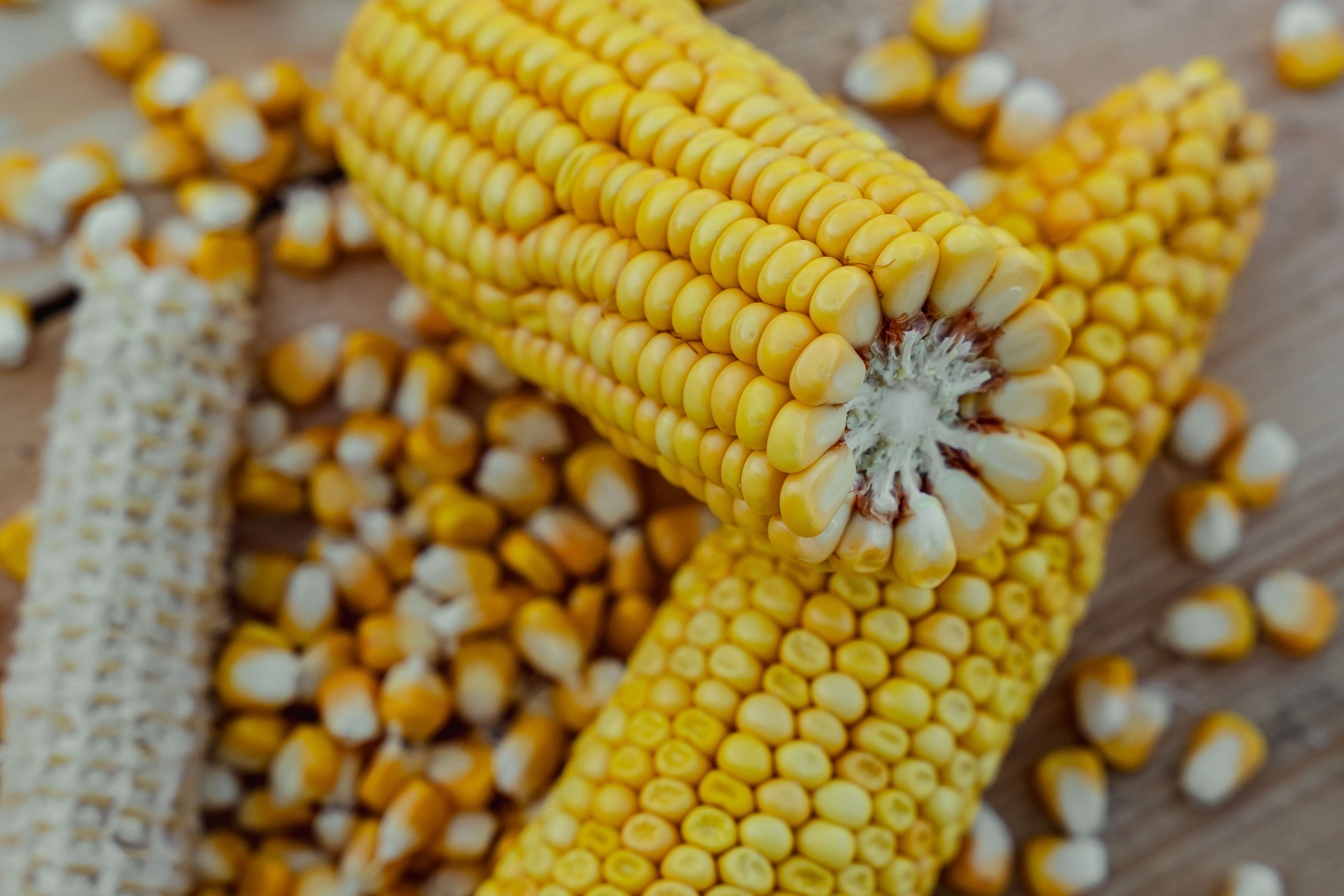 Коммерция. Портретный и событийный фотограф в Барнауле, Москве, Новосибирске