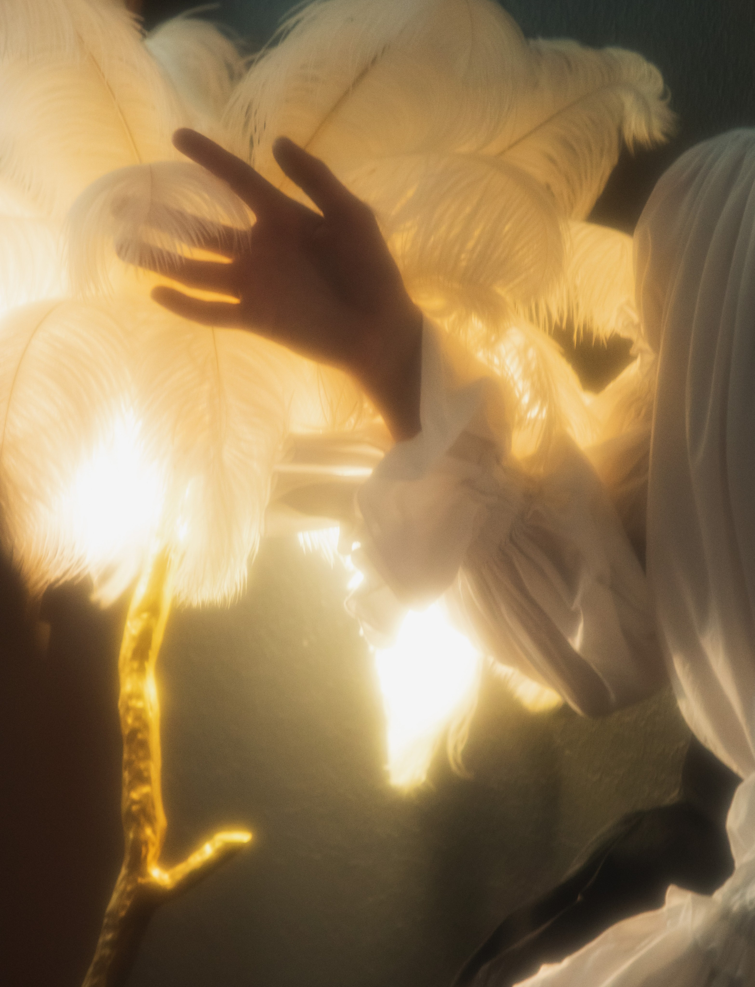 Герман. Юлия Башкатова, сказочный фотограф, Москва