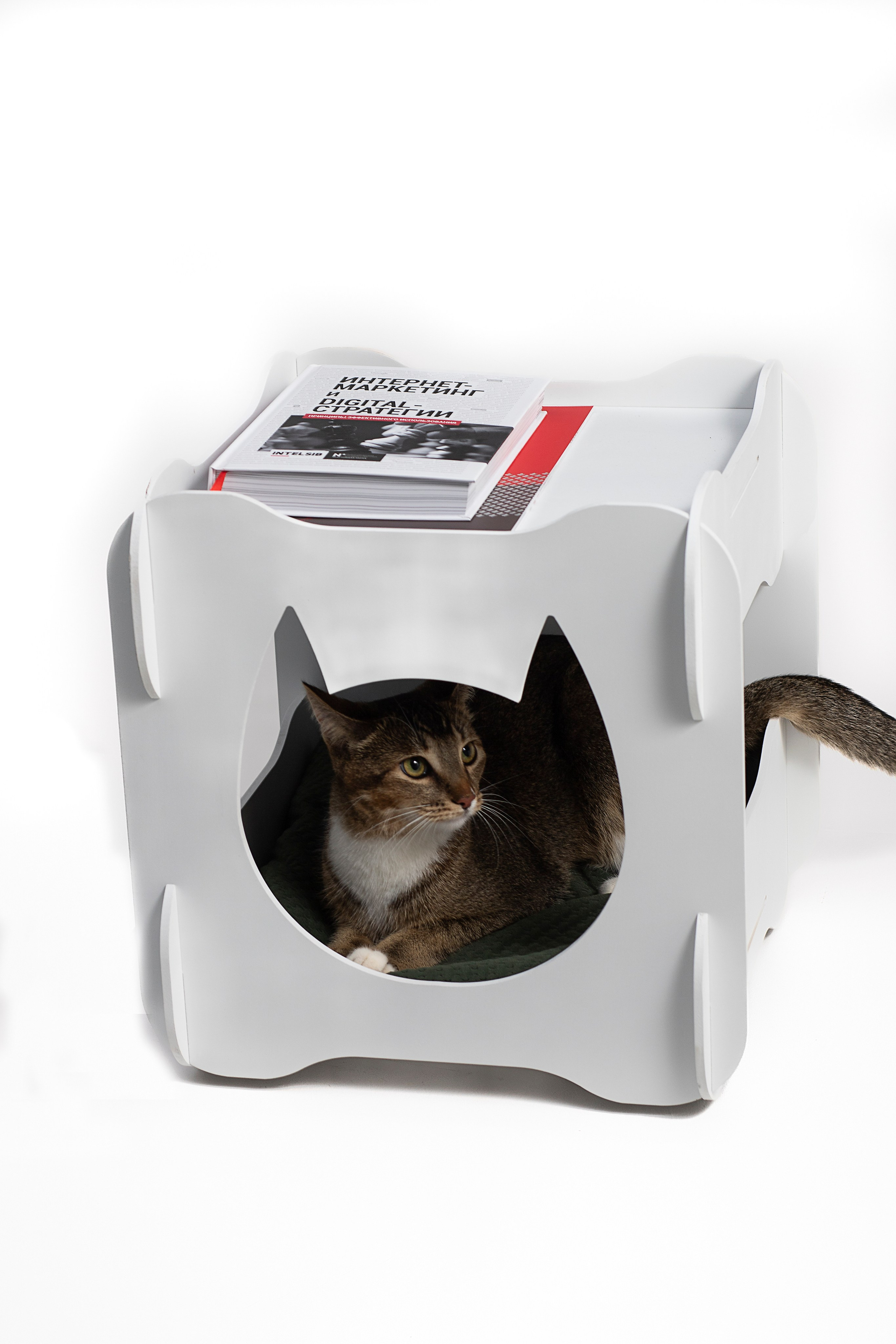 Маркетплейс. Фотограф Пушкино и Москва Анастасия Коган