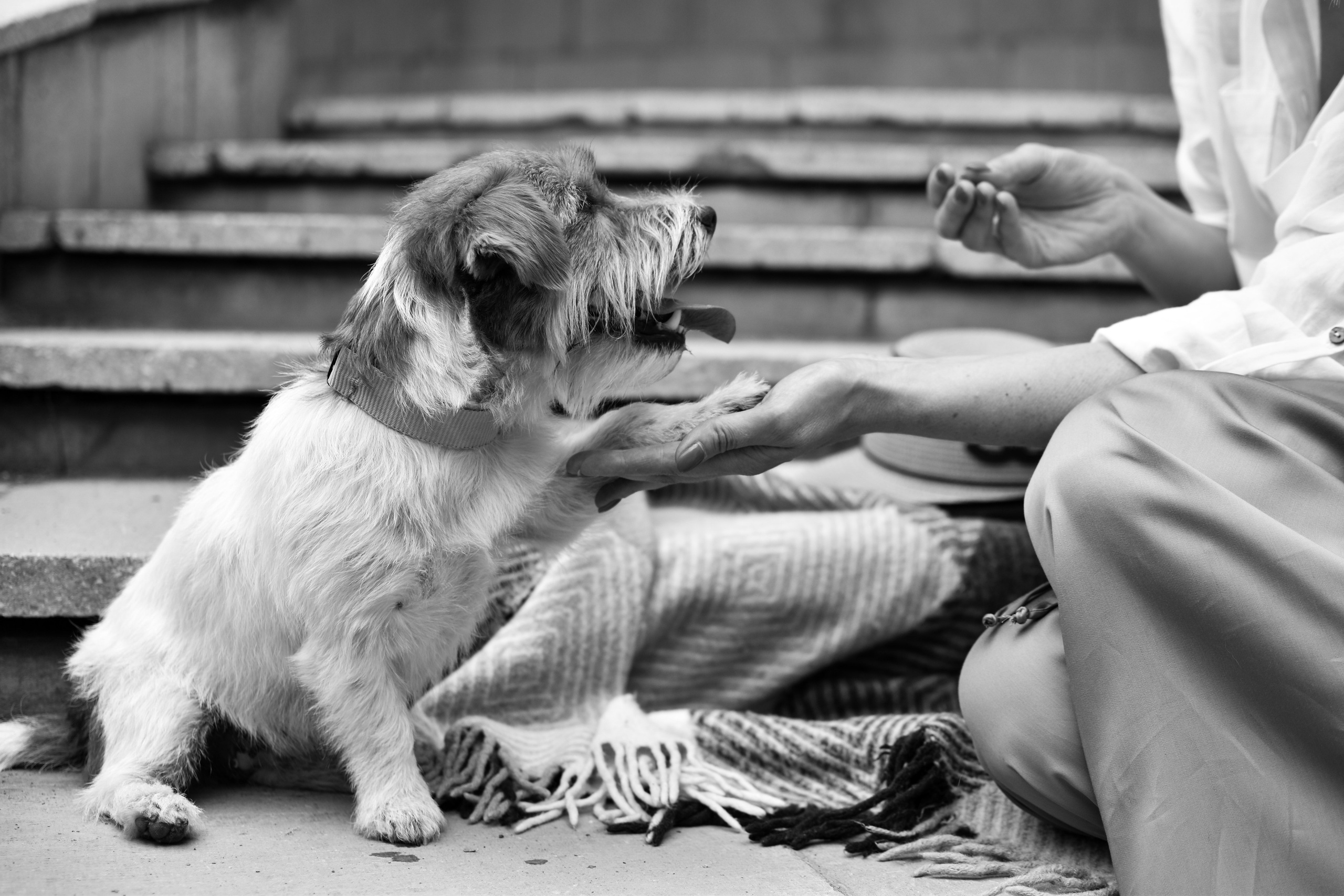 Фотопрогулка. Фотограф Новосибирск, Академгородок