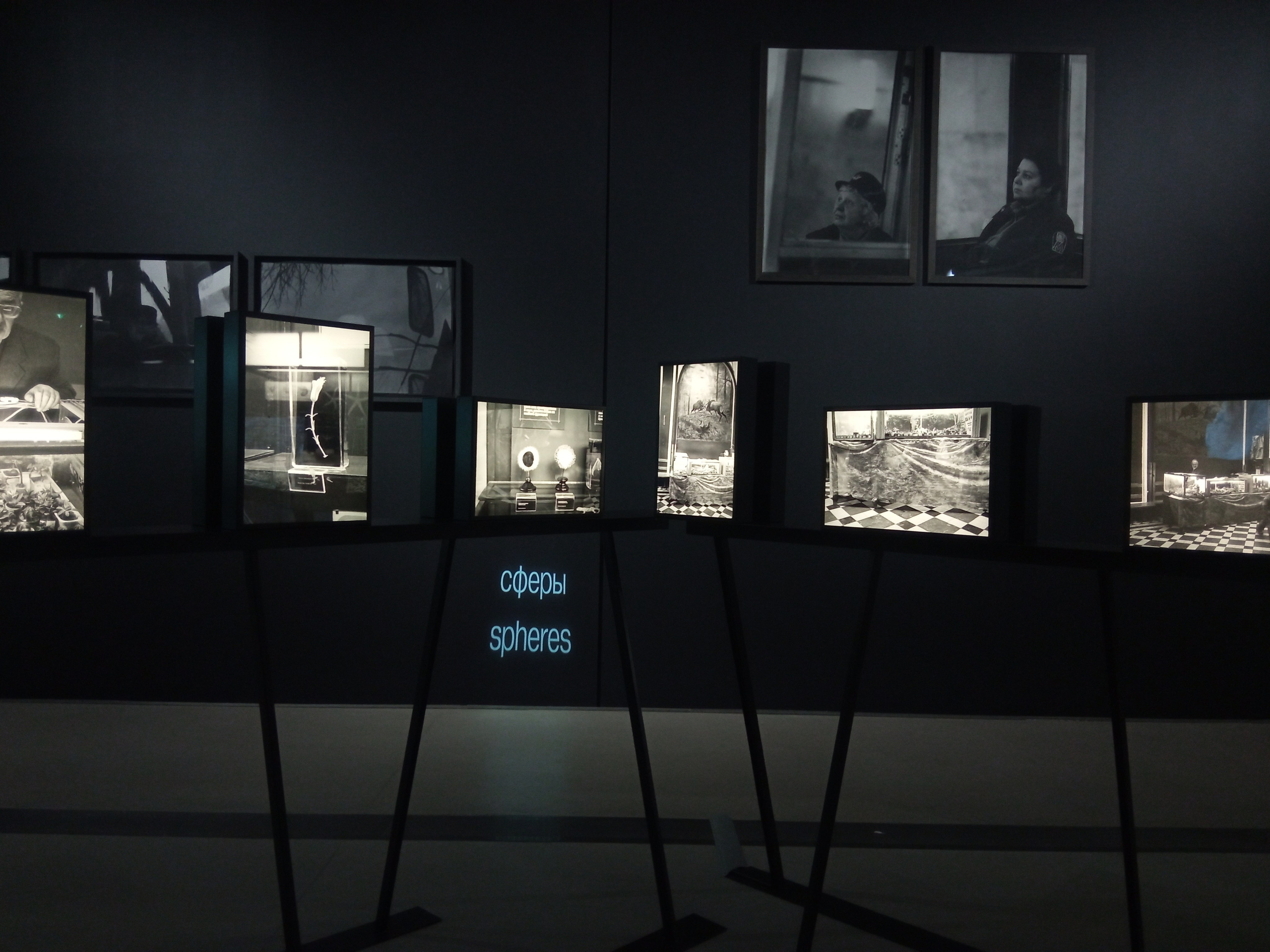 Выставка Ольги Чернышевой «Улица сна». Private image