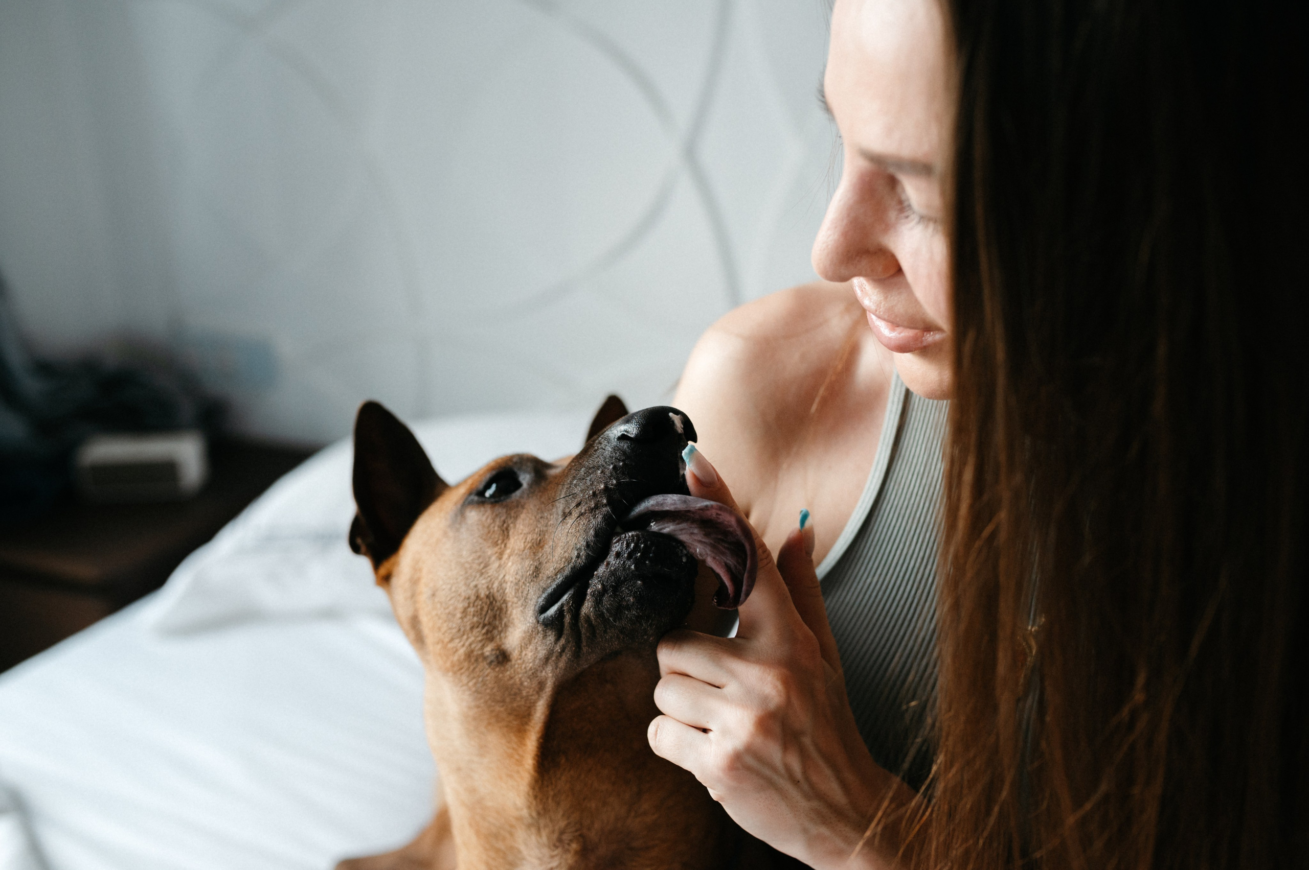 Оксана и Зевс. Фотограф анималист в Москве Ольга Агушева