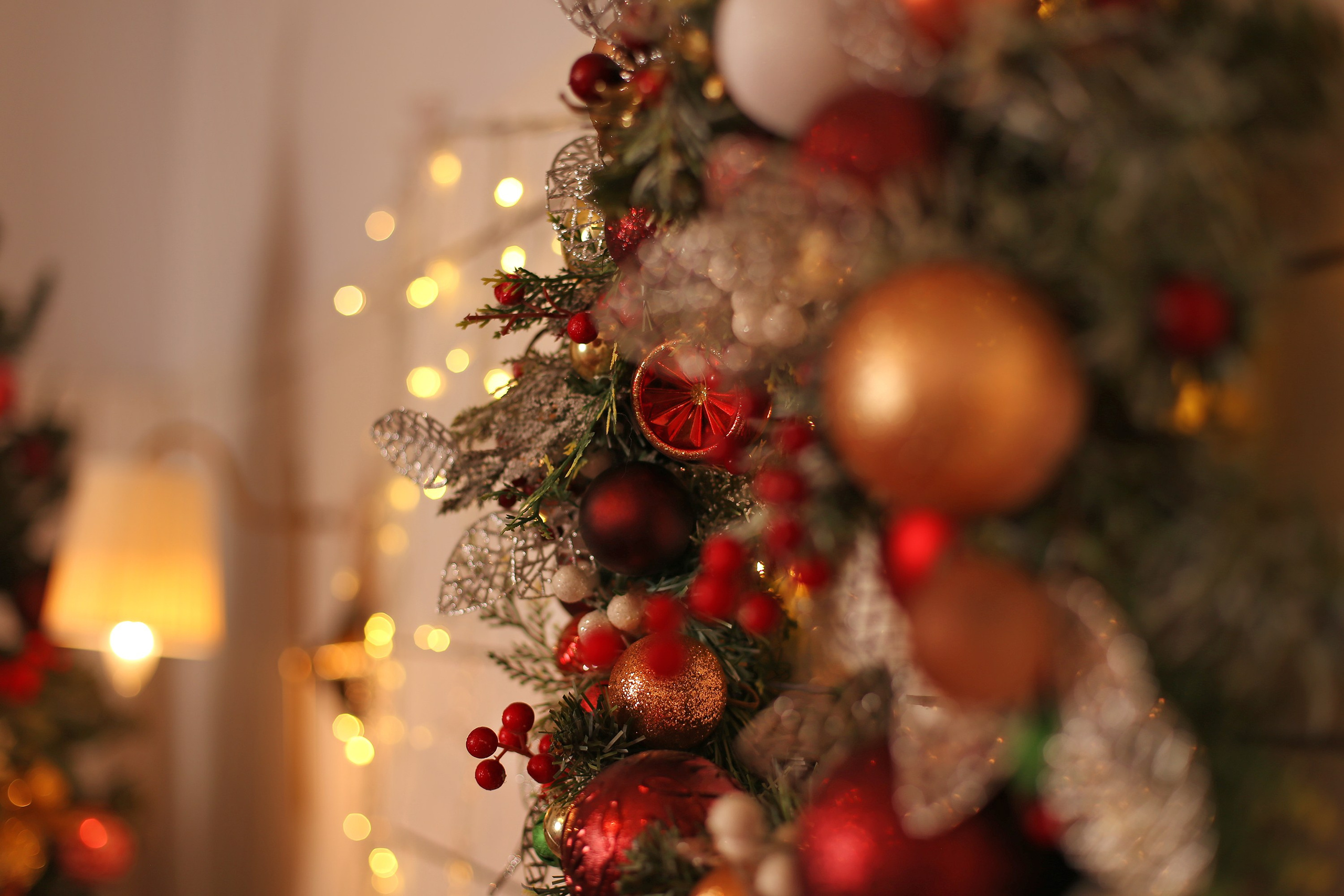 Зимняя Сказка. Фотограф в Санкт-Петербурге Анастасия Сачкова