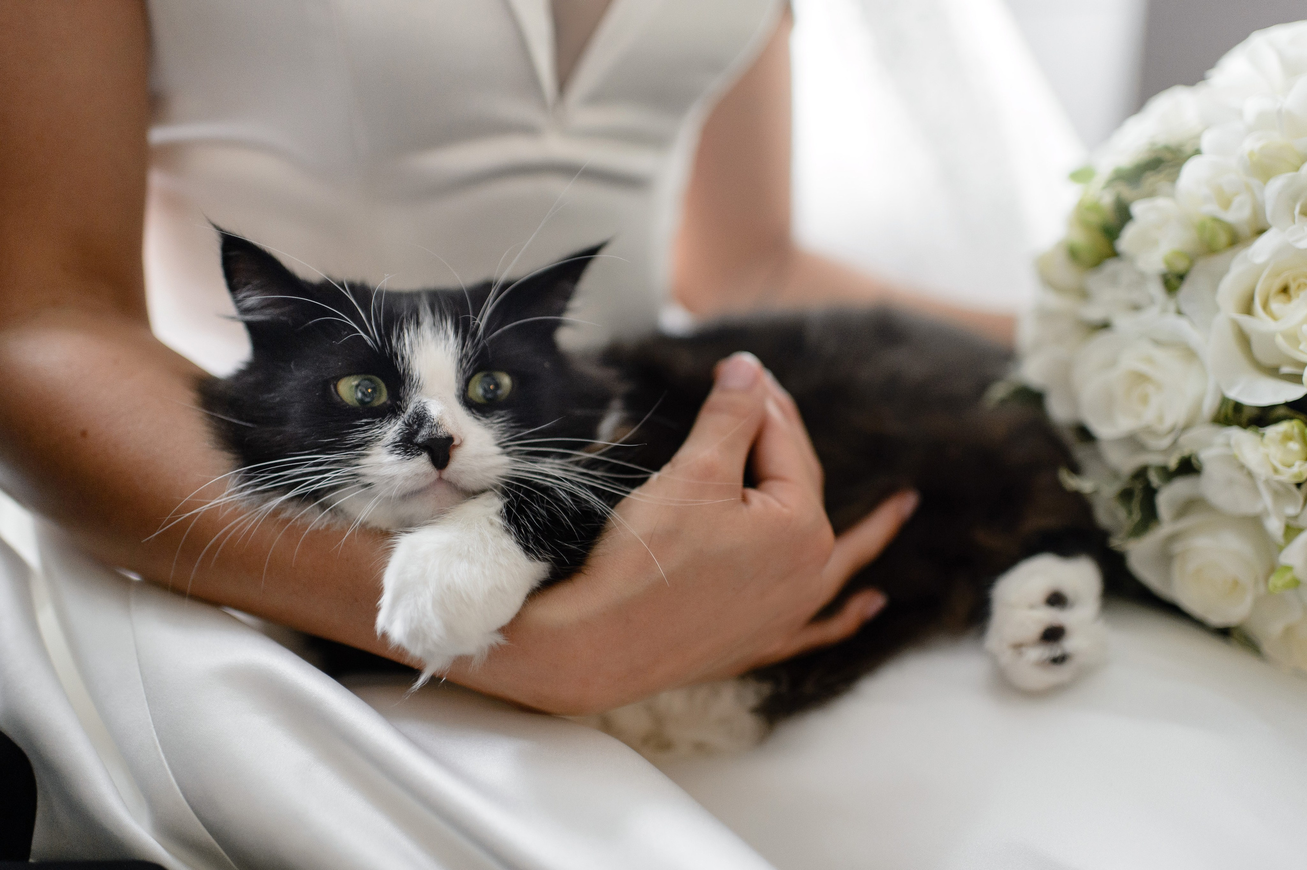 Dmitry & Anastasiya. Wedding and Destination photographer Rustam Kalimullin