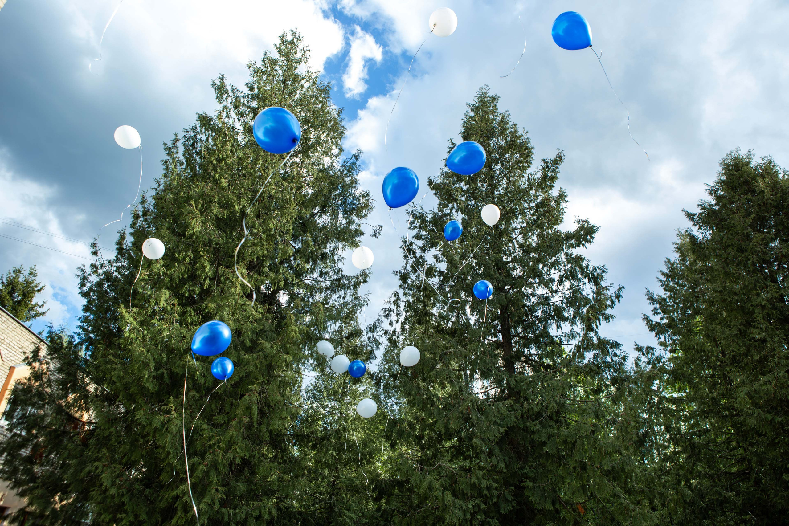 Фотосессия выпускного в детском саду: как не провалить главное событие года. Профессиональный фотограф в Мценске и Орловской области