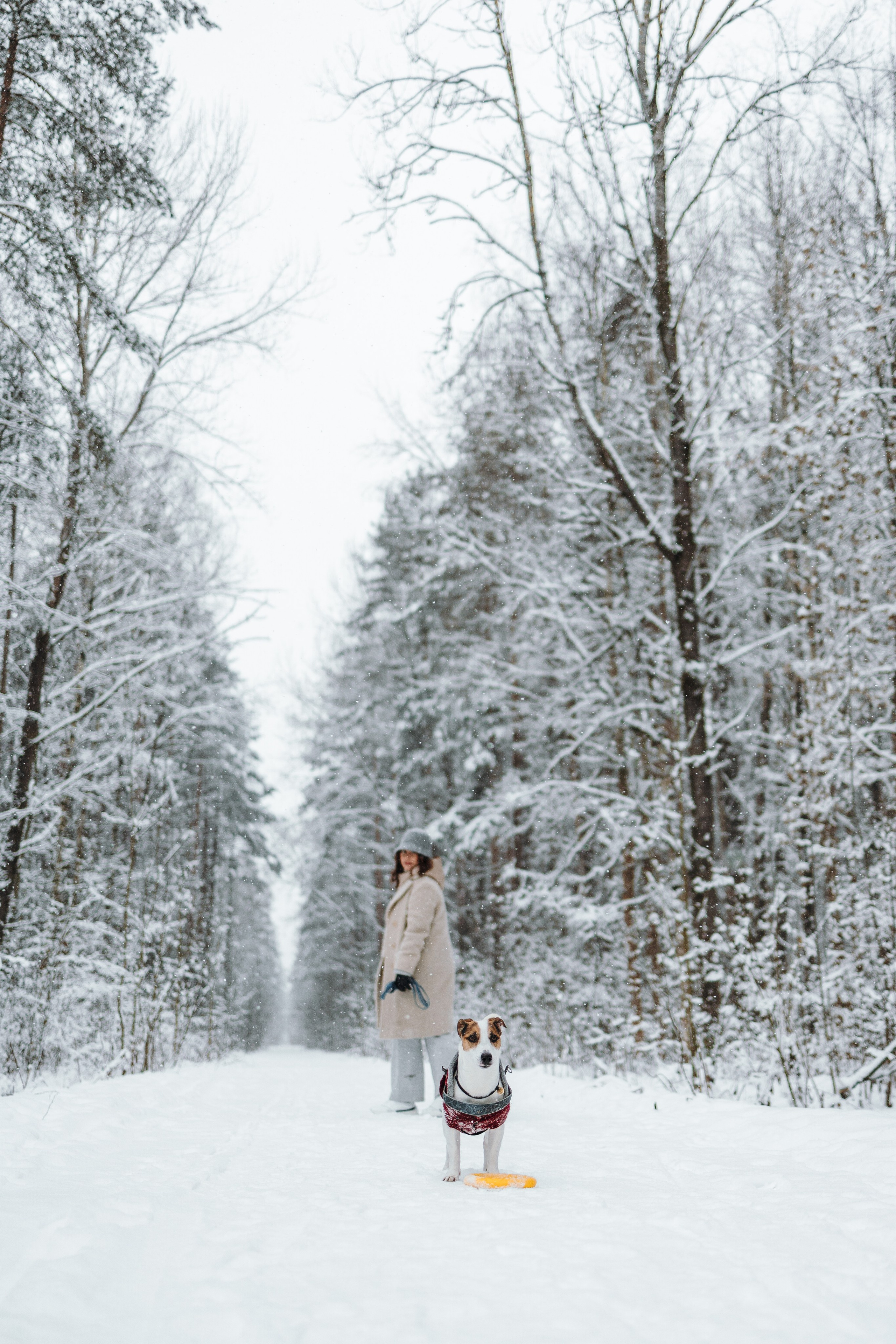 Мики и его семья. Фотограф — Анималист | Санкт-Петербург
